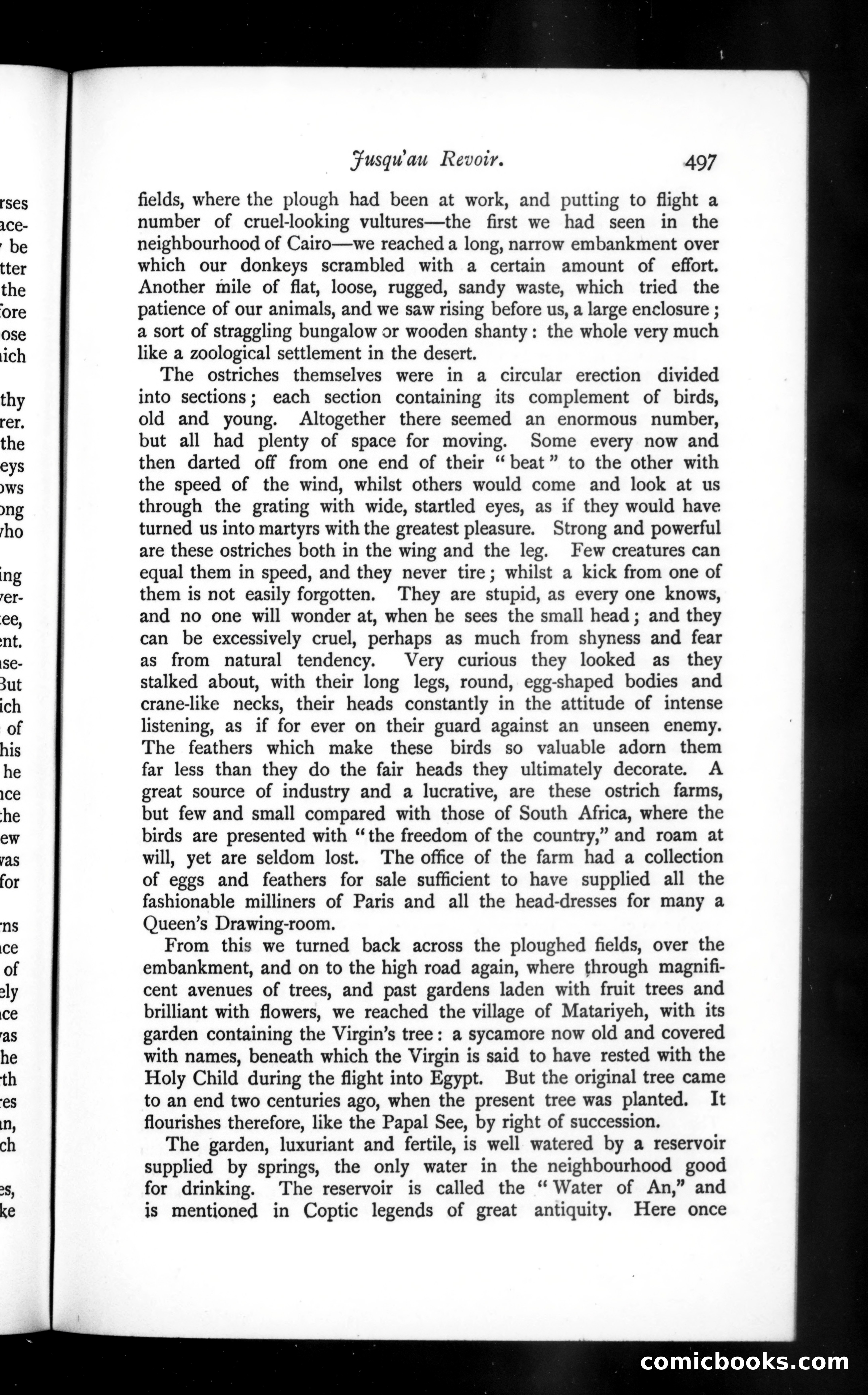 The Argosy, Vol. 56 — page 57 of 131