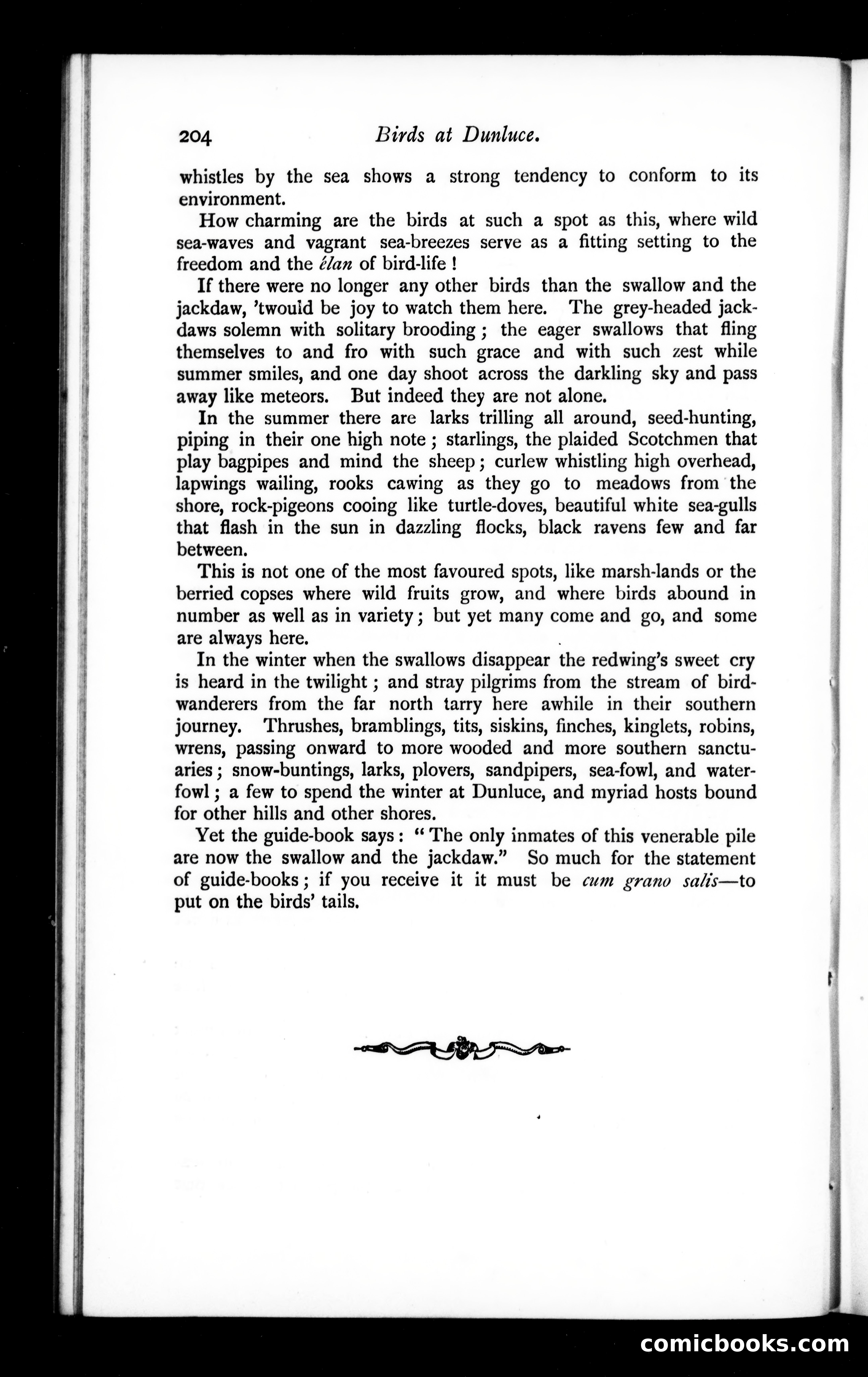 The Argosy, Vol. 58 — page 28 of 90