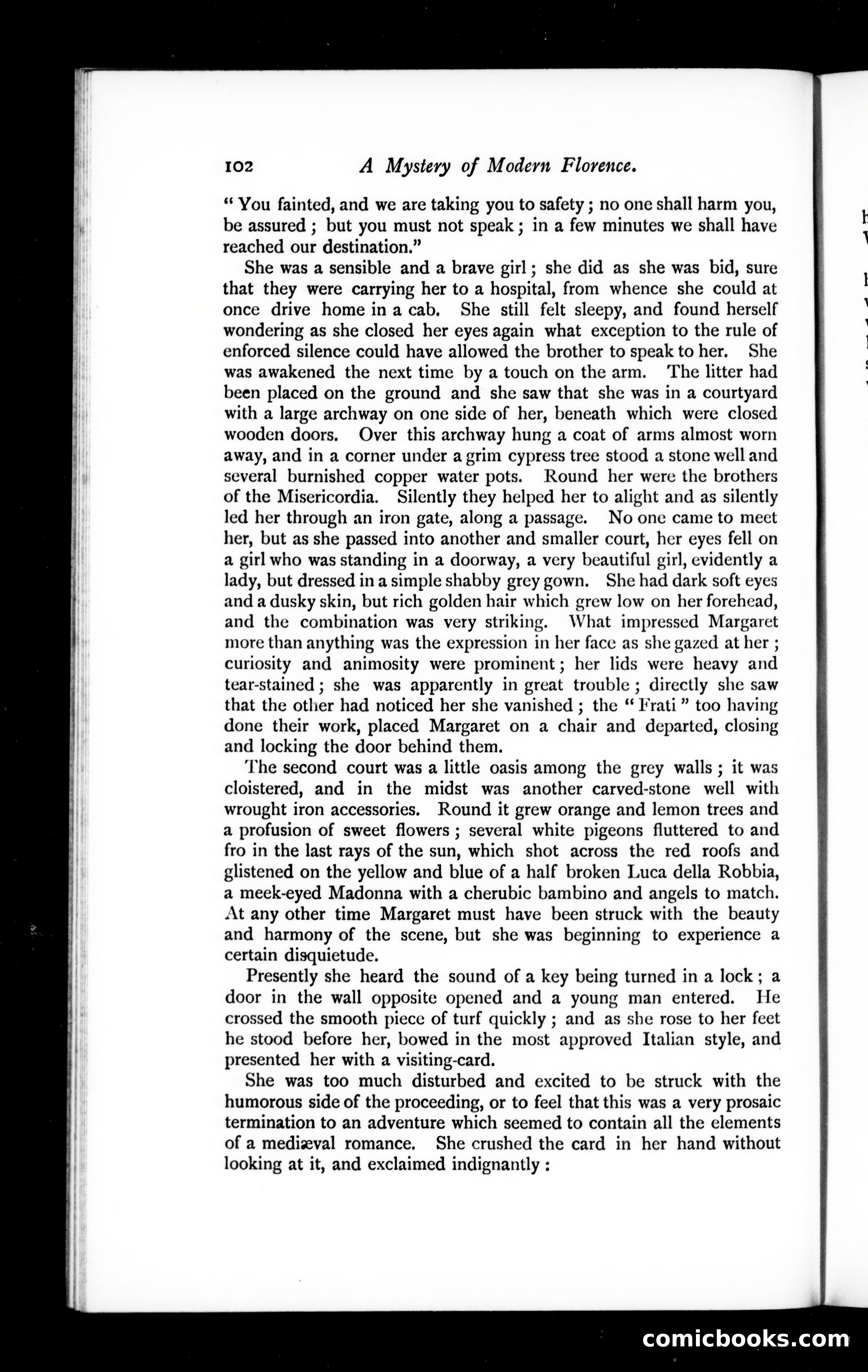 The Argosy, Vol. 59 — page 104 of 132