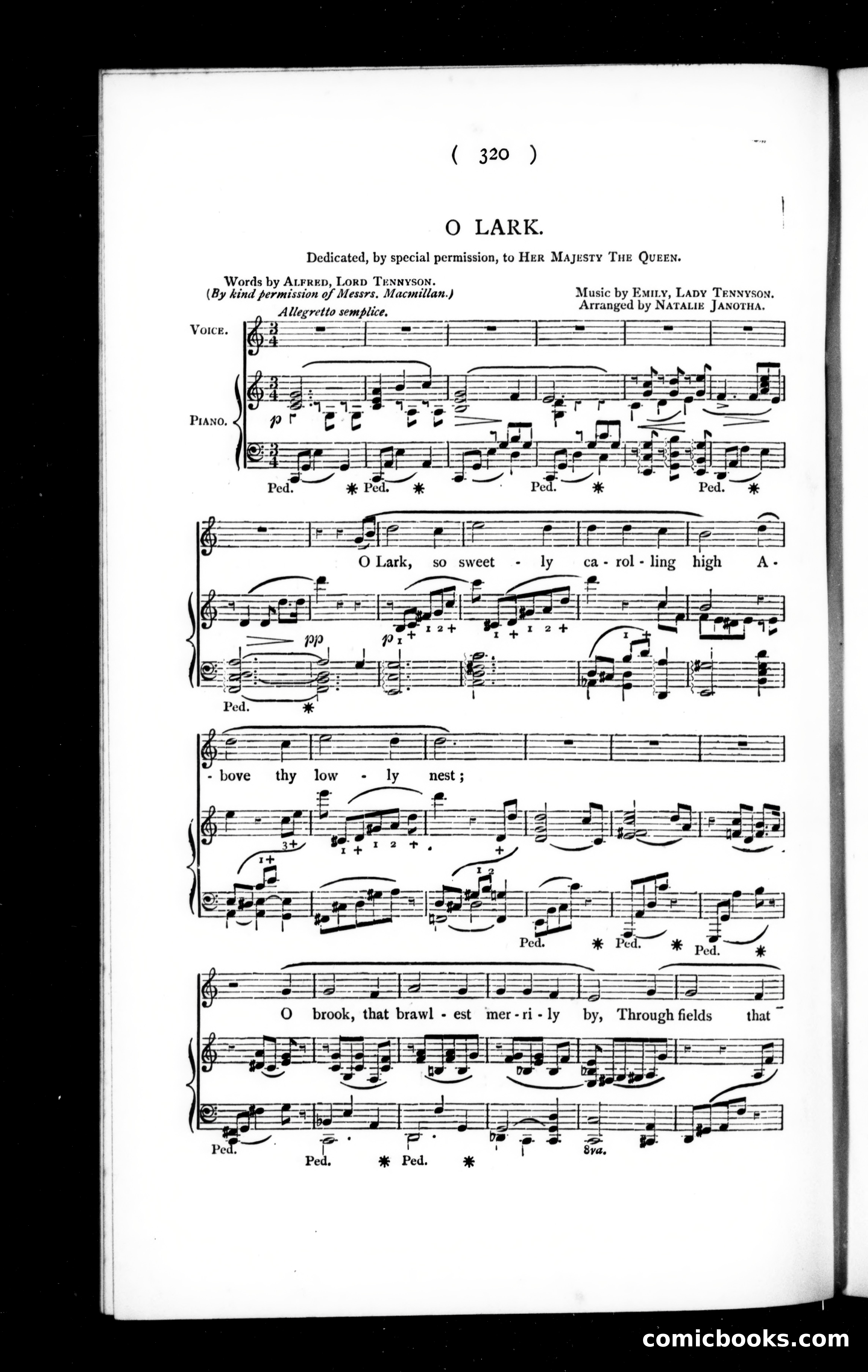 The Argosy, Vol. 59 — page 66 of 132