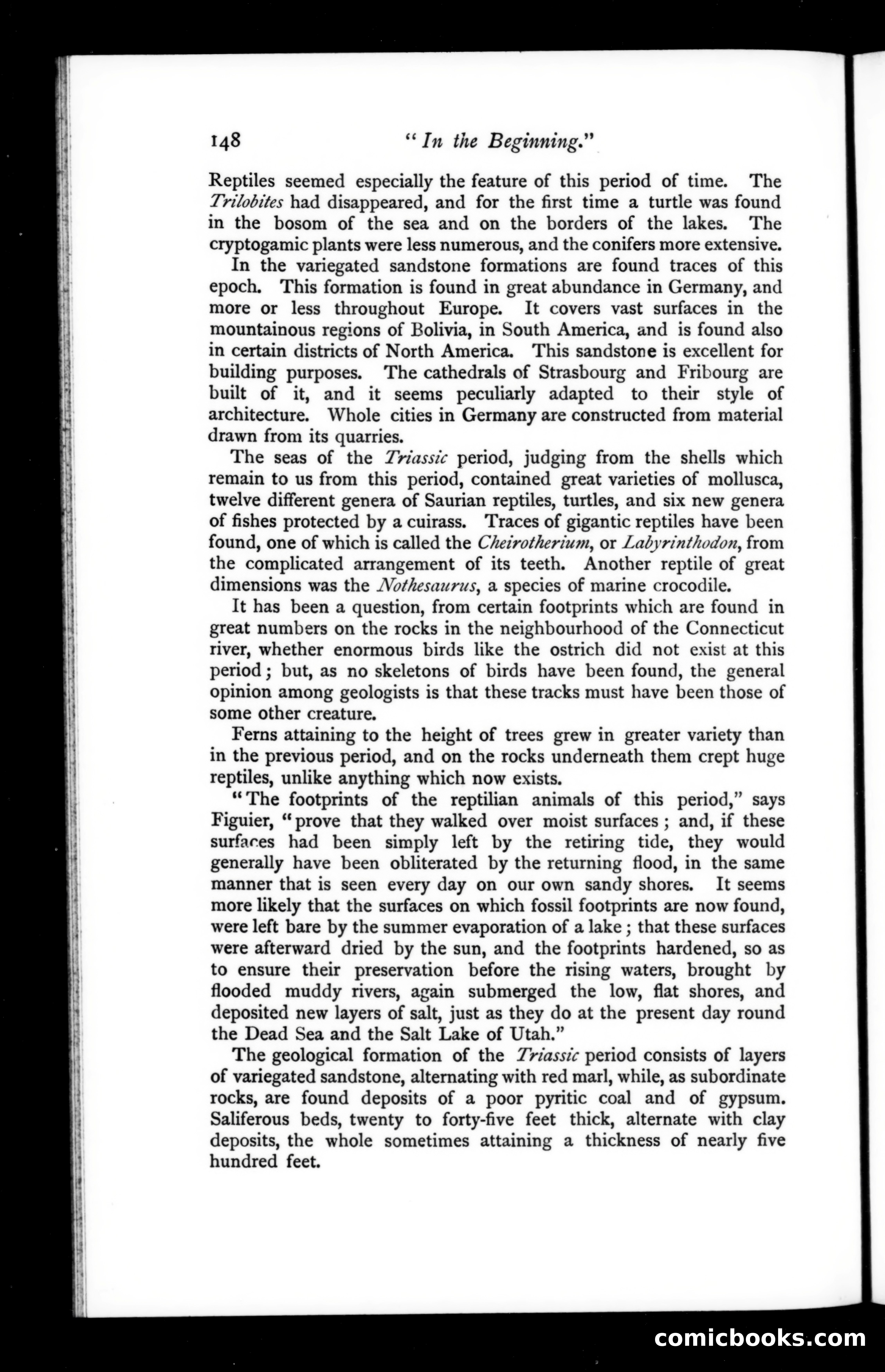 The Argosy, Vol. 67 — page 28 of 121
