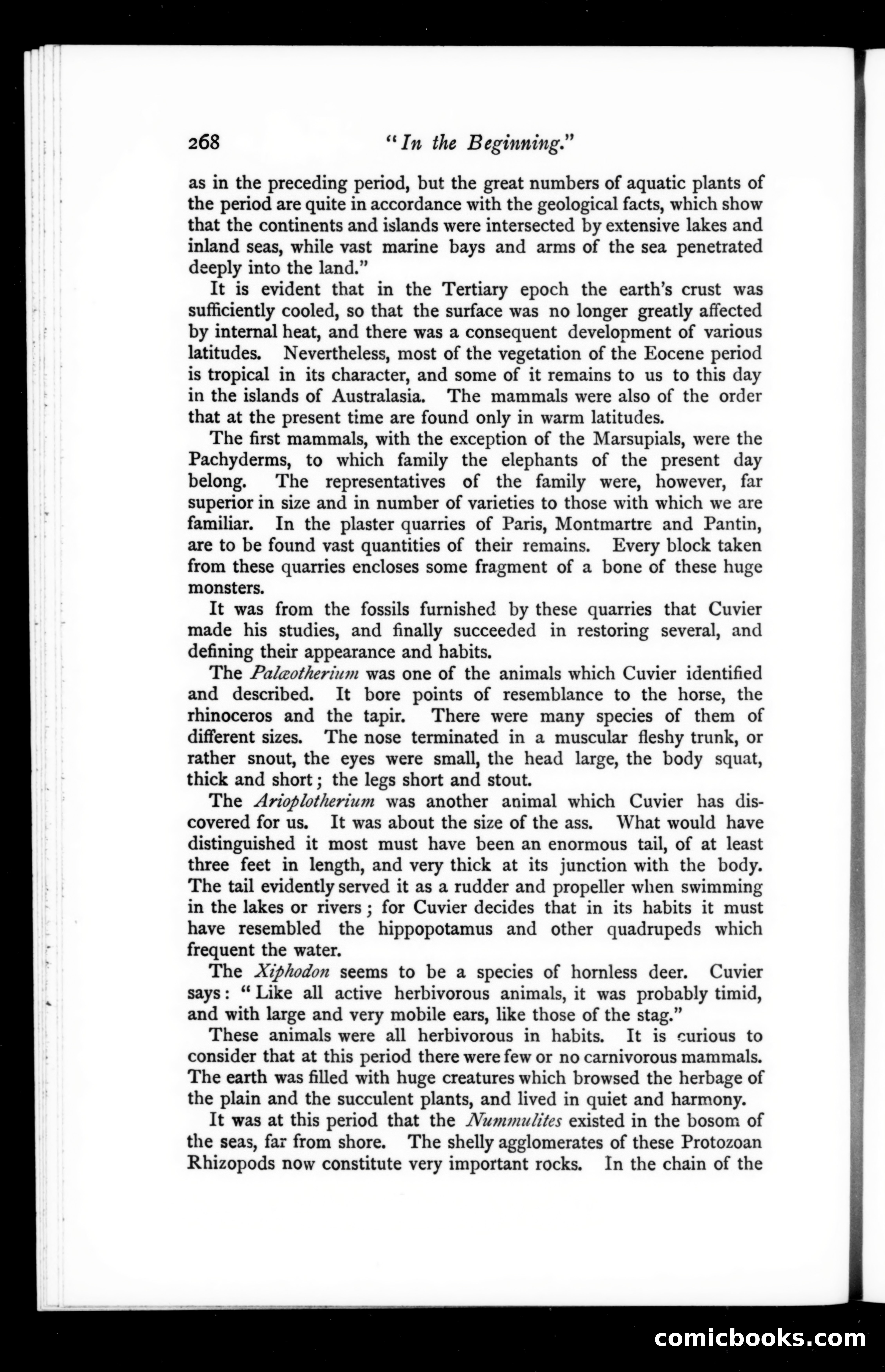 The Argosy, Vol. 67 — page 28 of 121