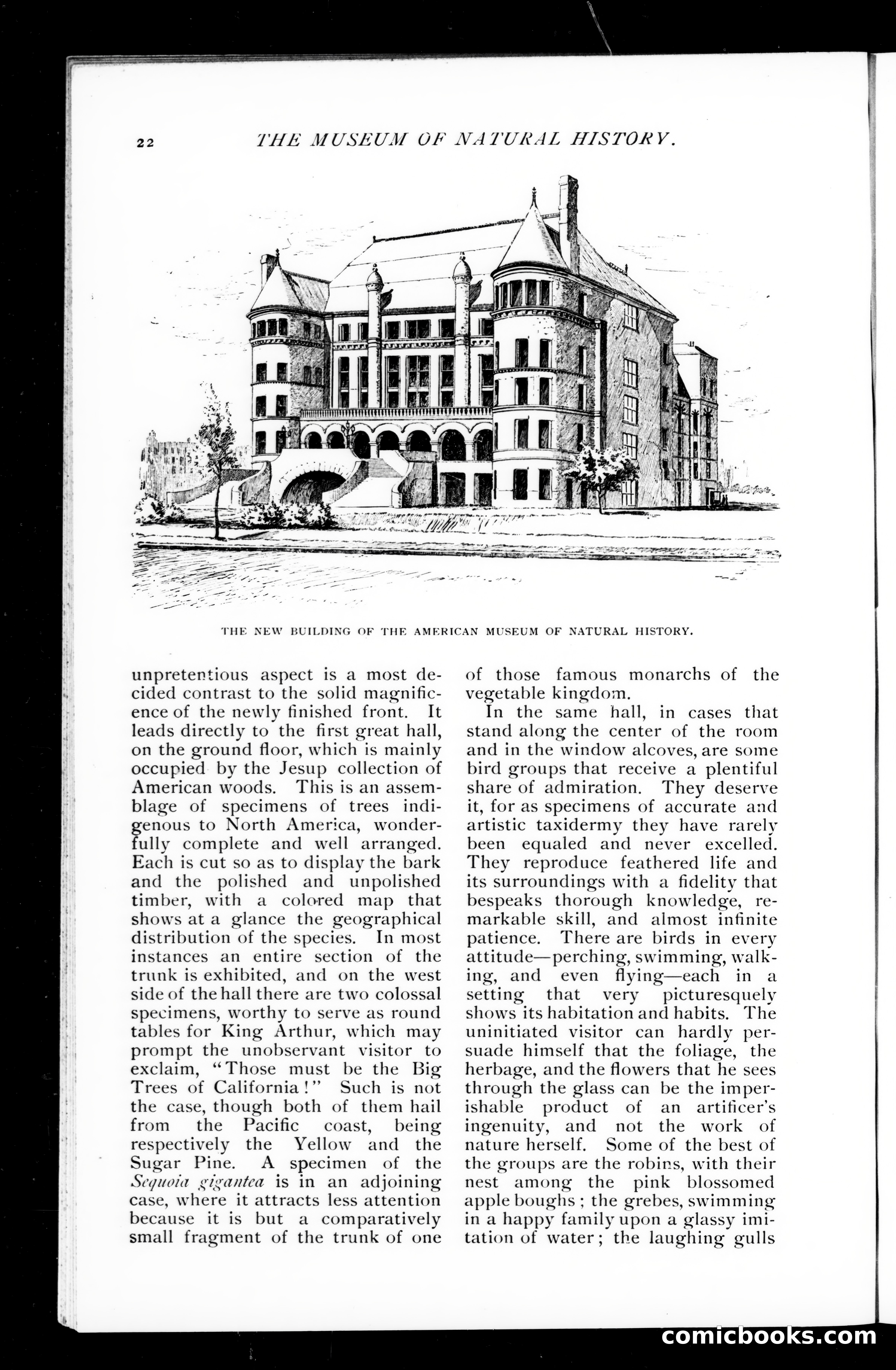 Munsey's Magazine, October 1891 — page 20 of 120