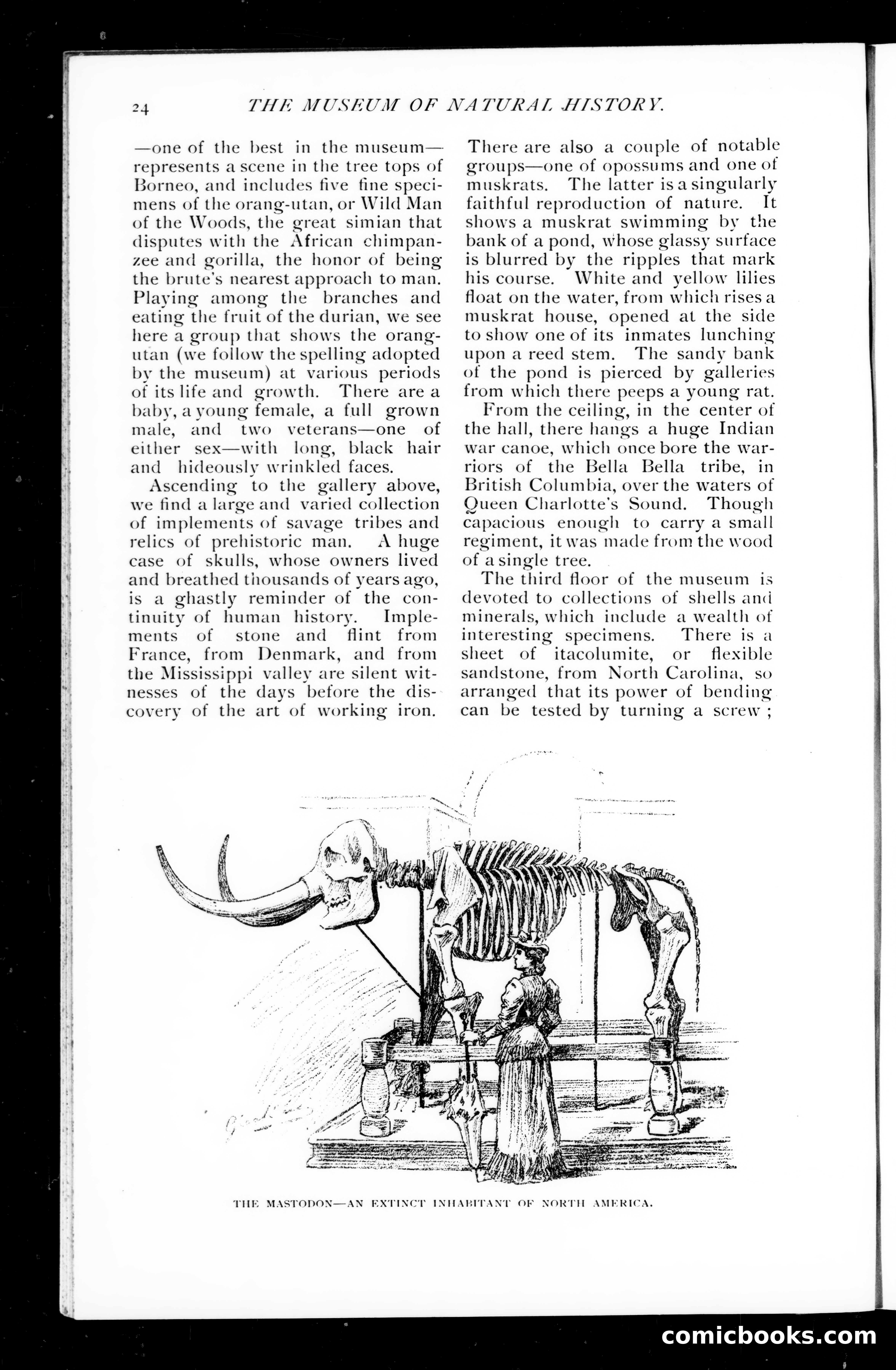 Munsey's Magazine, October 1891 — page 22 of 120