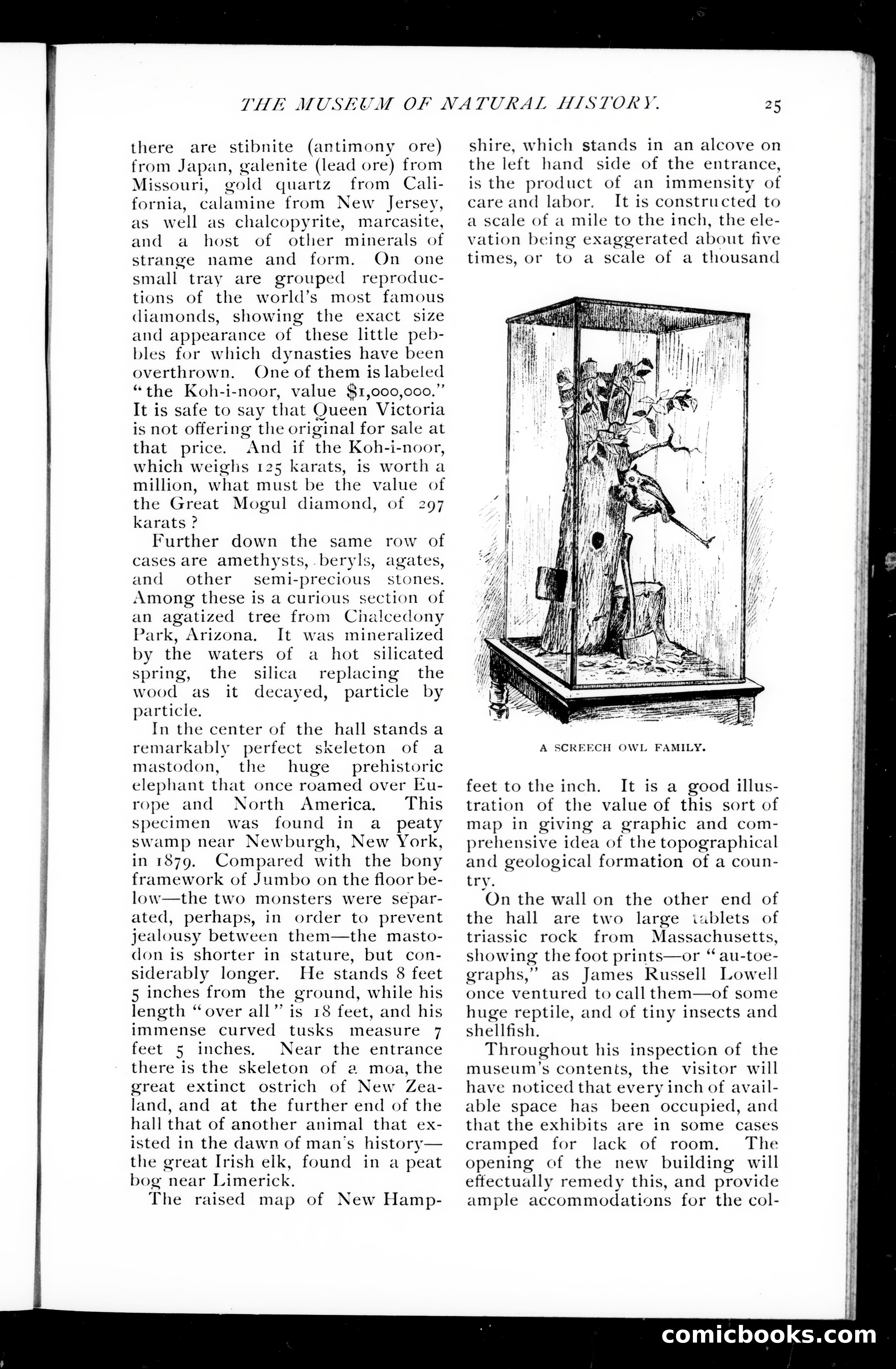 Munsey's Magazine, October 1891 — page 23 of 120