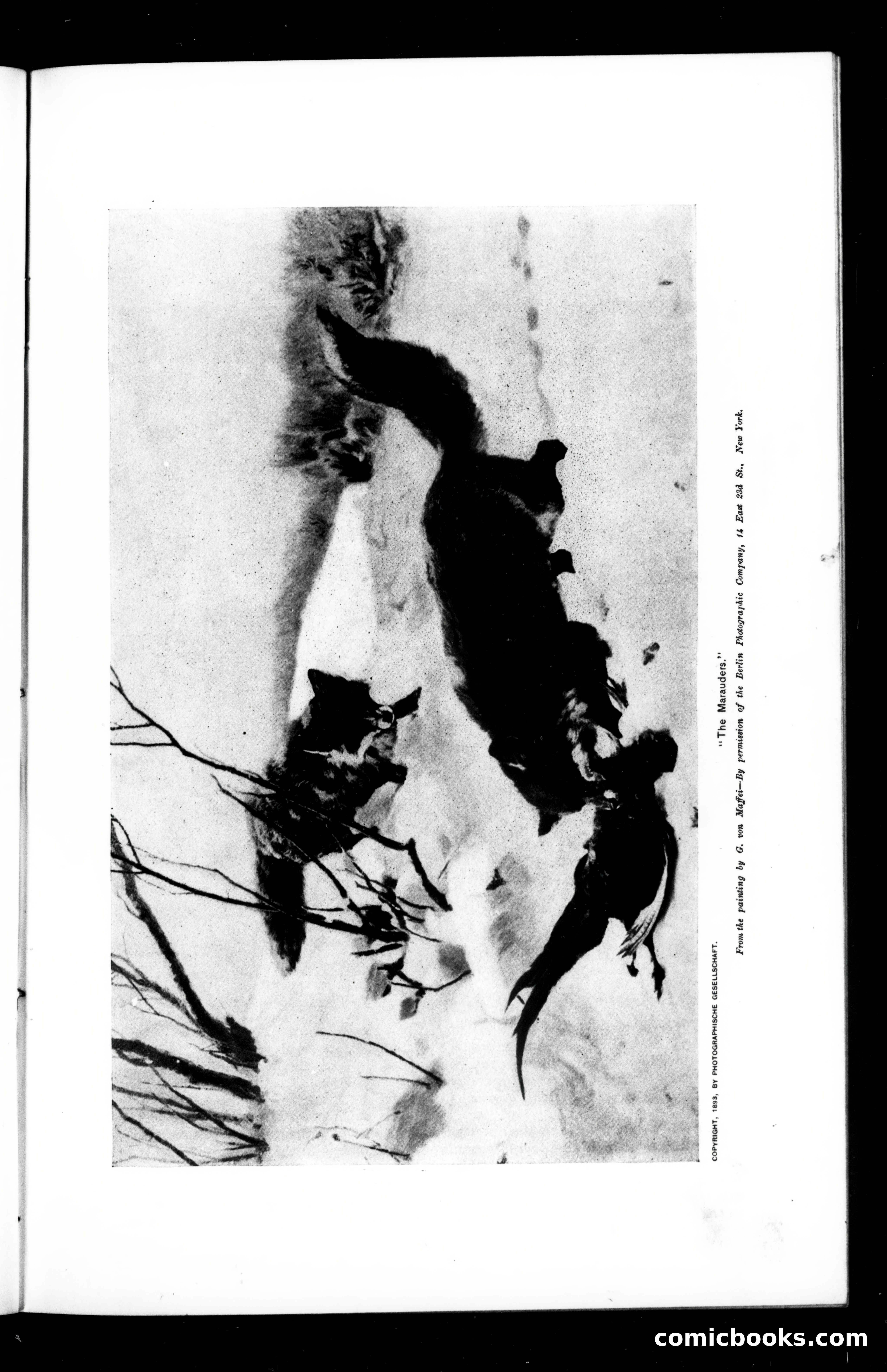 Munsey's Magazine, June 1895 — page 3 of 112