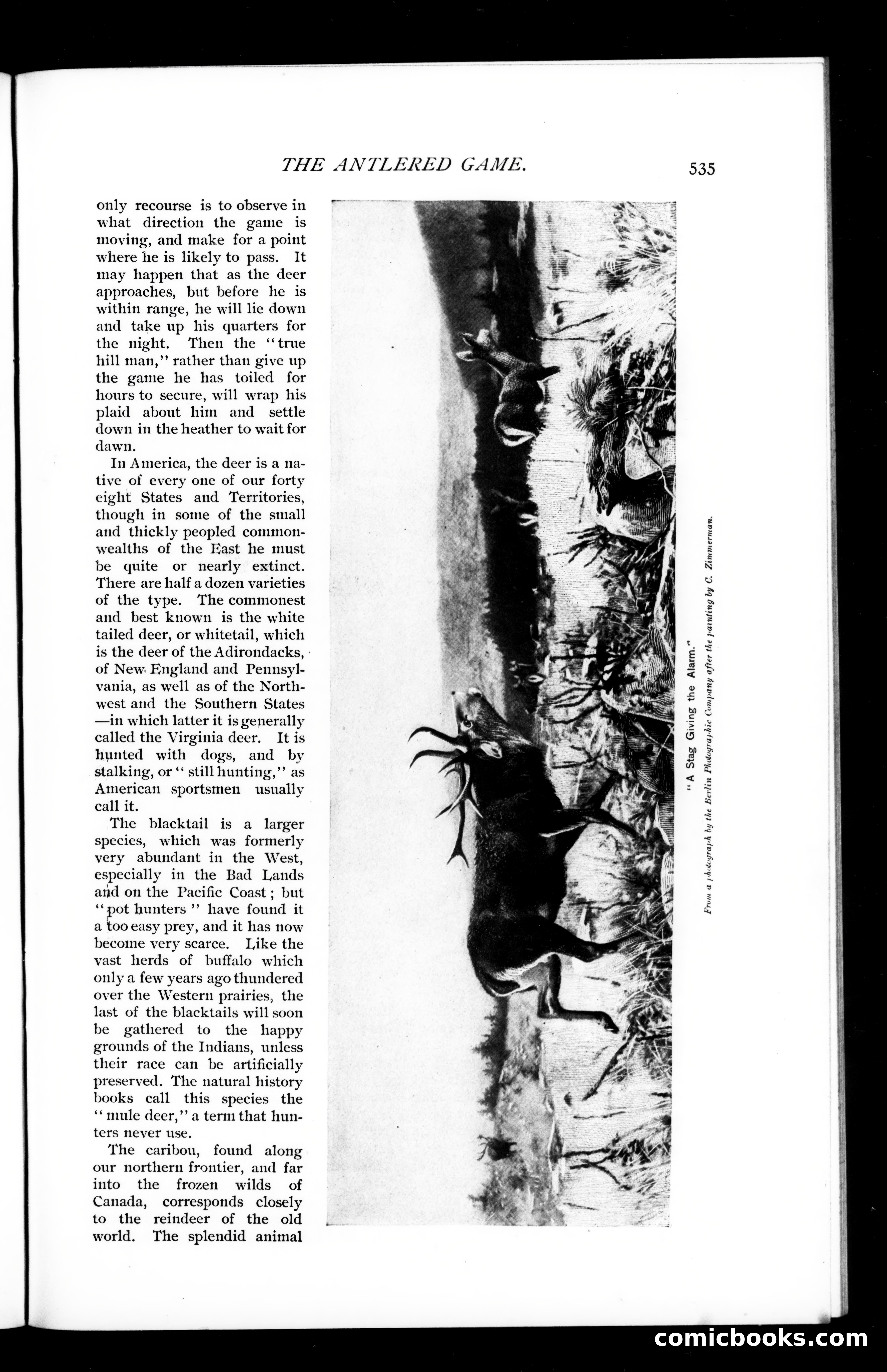 Munsey's Magazine, August 1895 — page 99 of 130