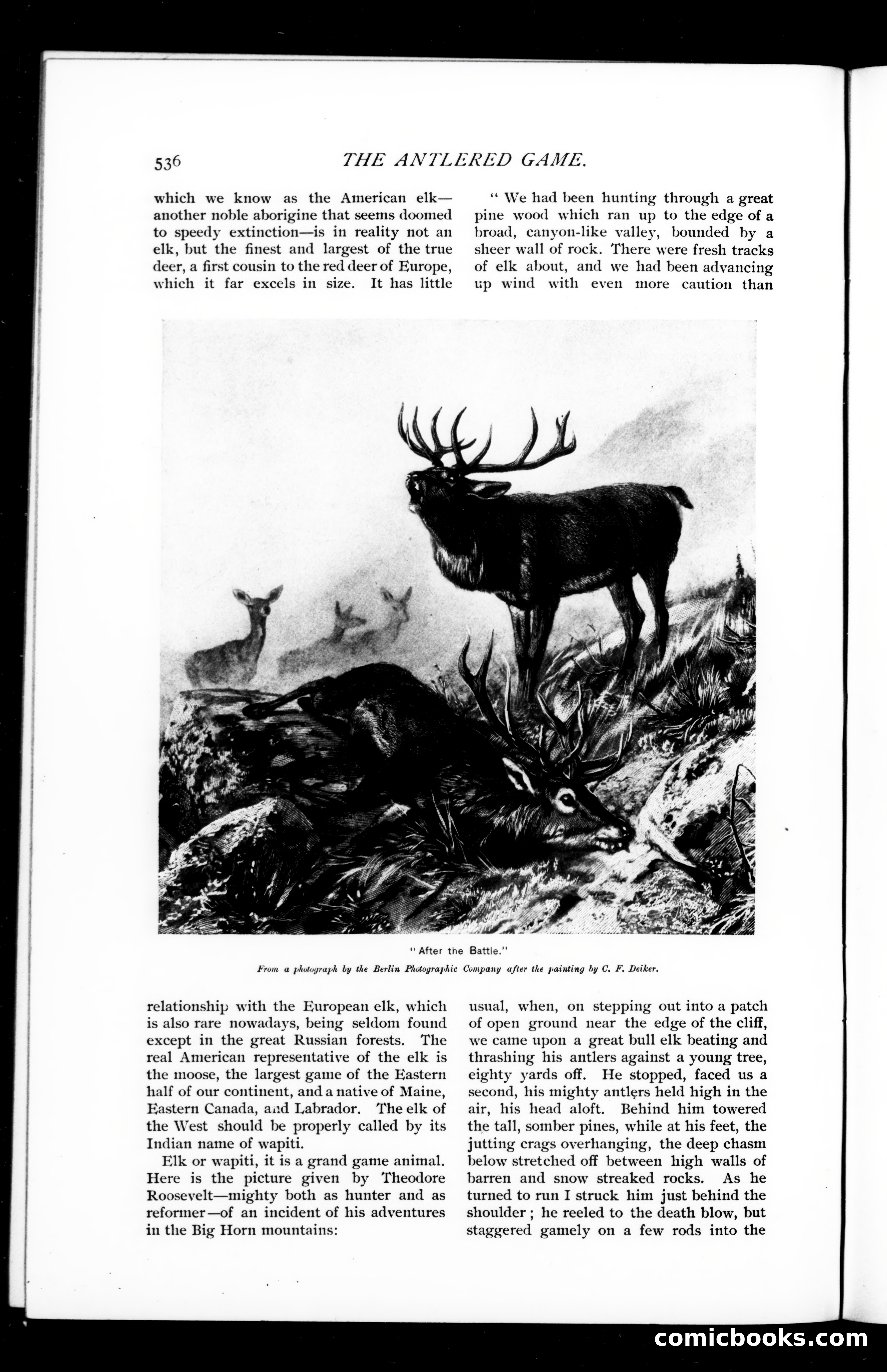 Munsey's Magazine, August 1895 — page 100 of 130