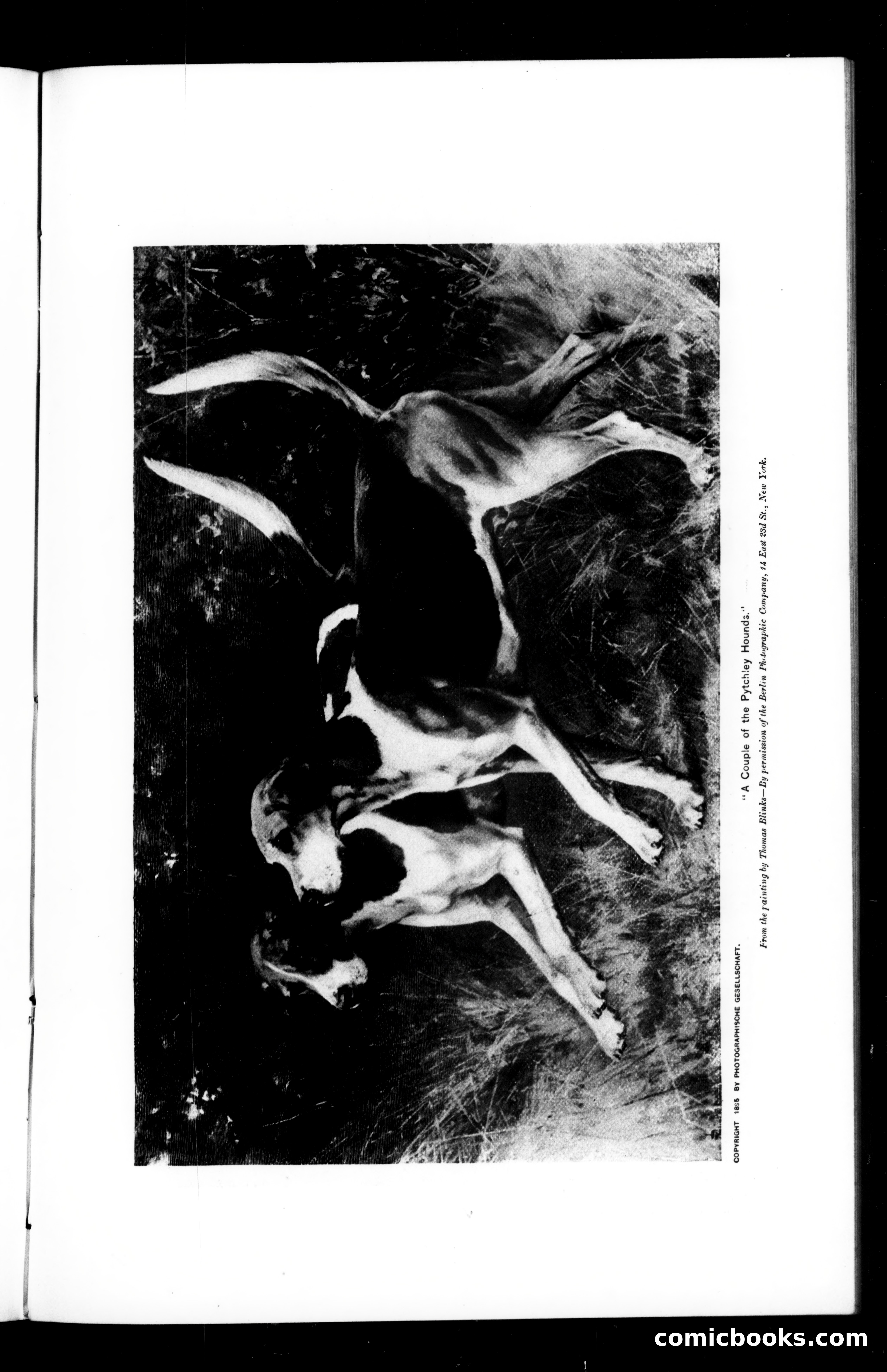 Munsey's Magazine, September 1895 — page 37 of 183
