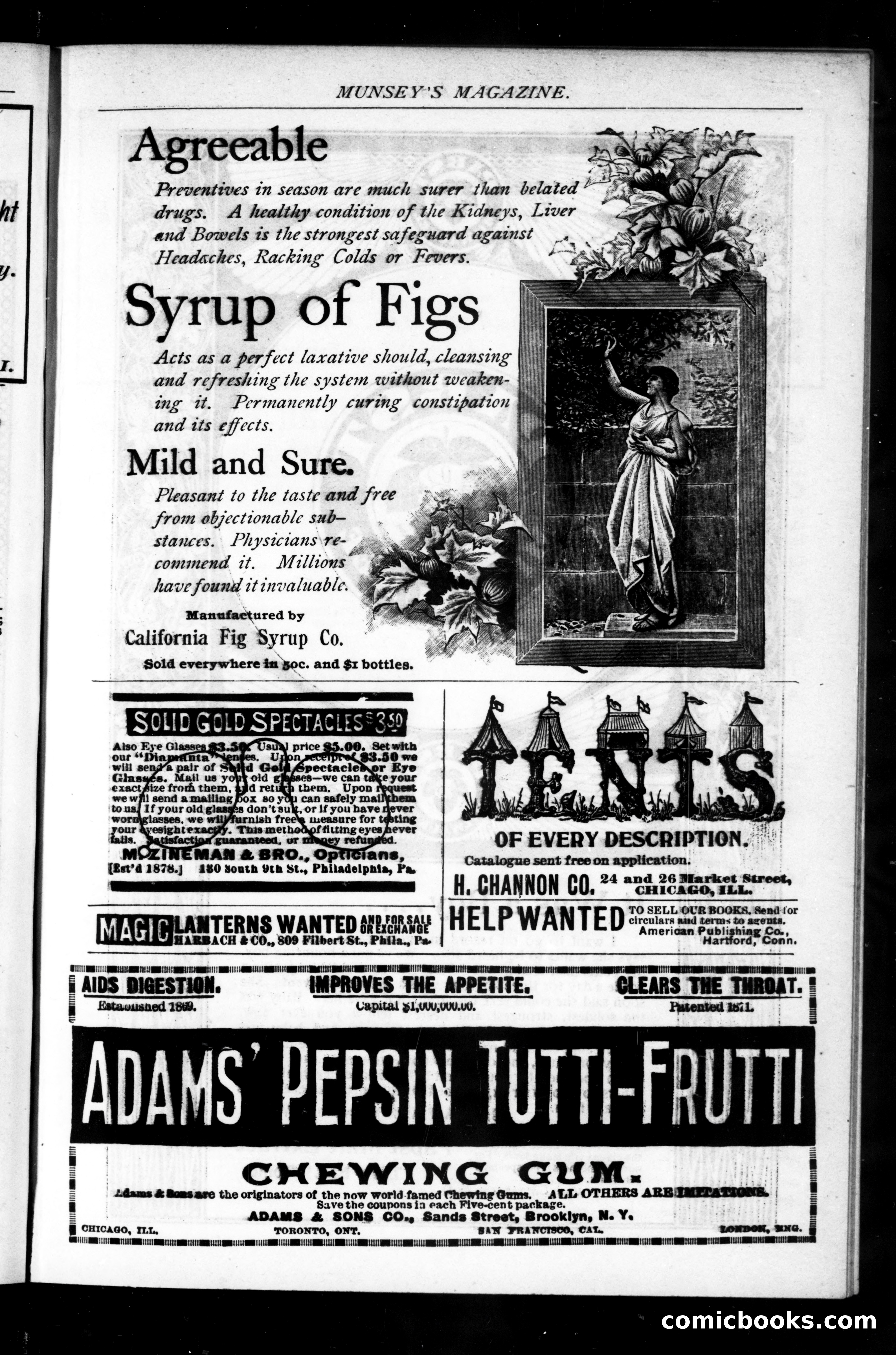 Munsey's Magazine, September 1895 — page 161 of 183