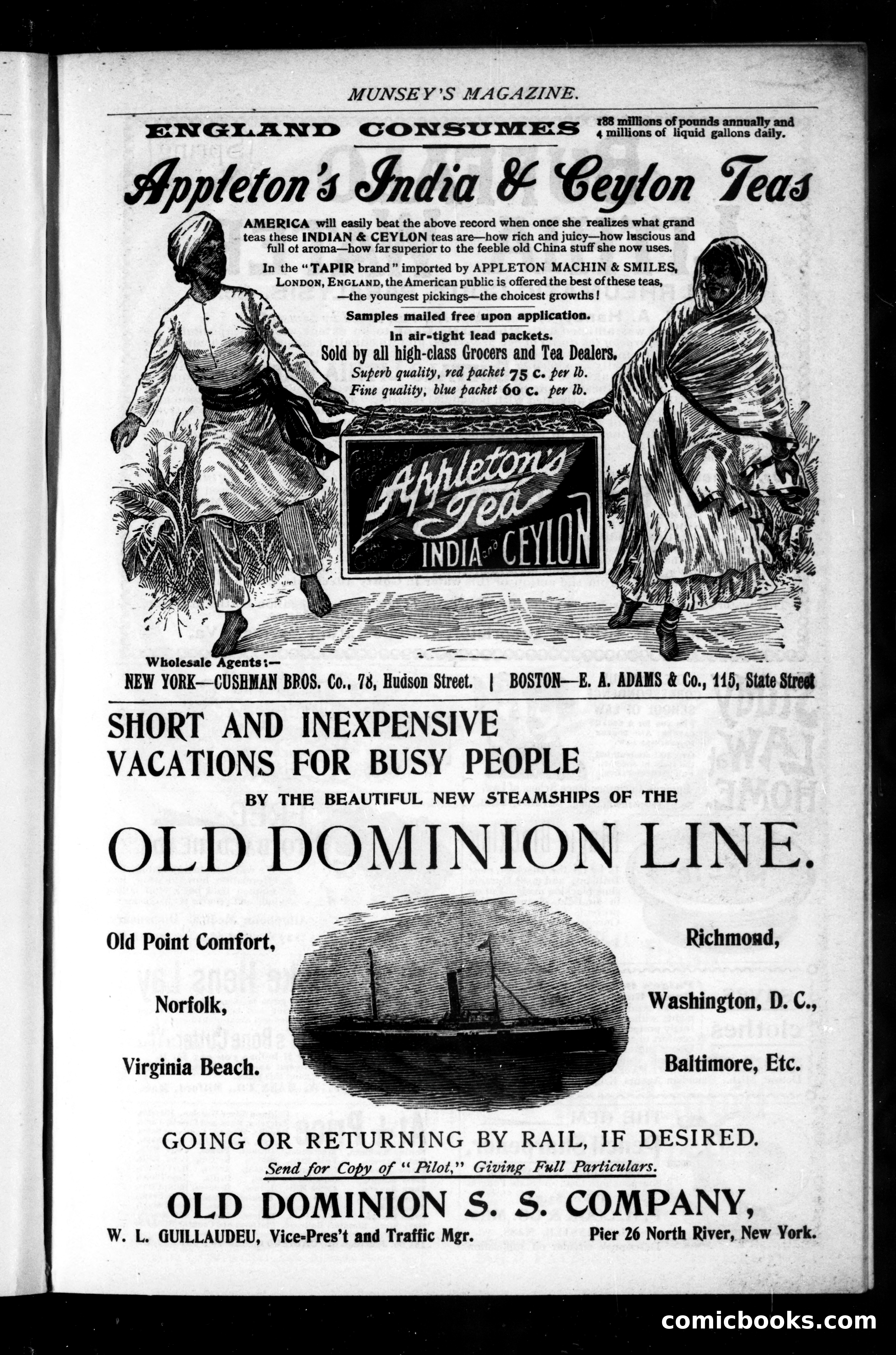 Munsey's Magazine, September 1895 — page 165 of 183