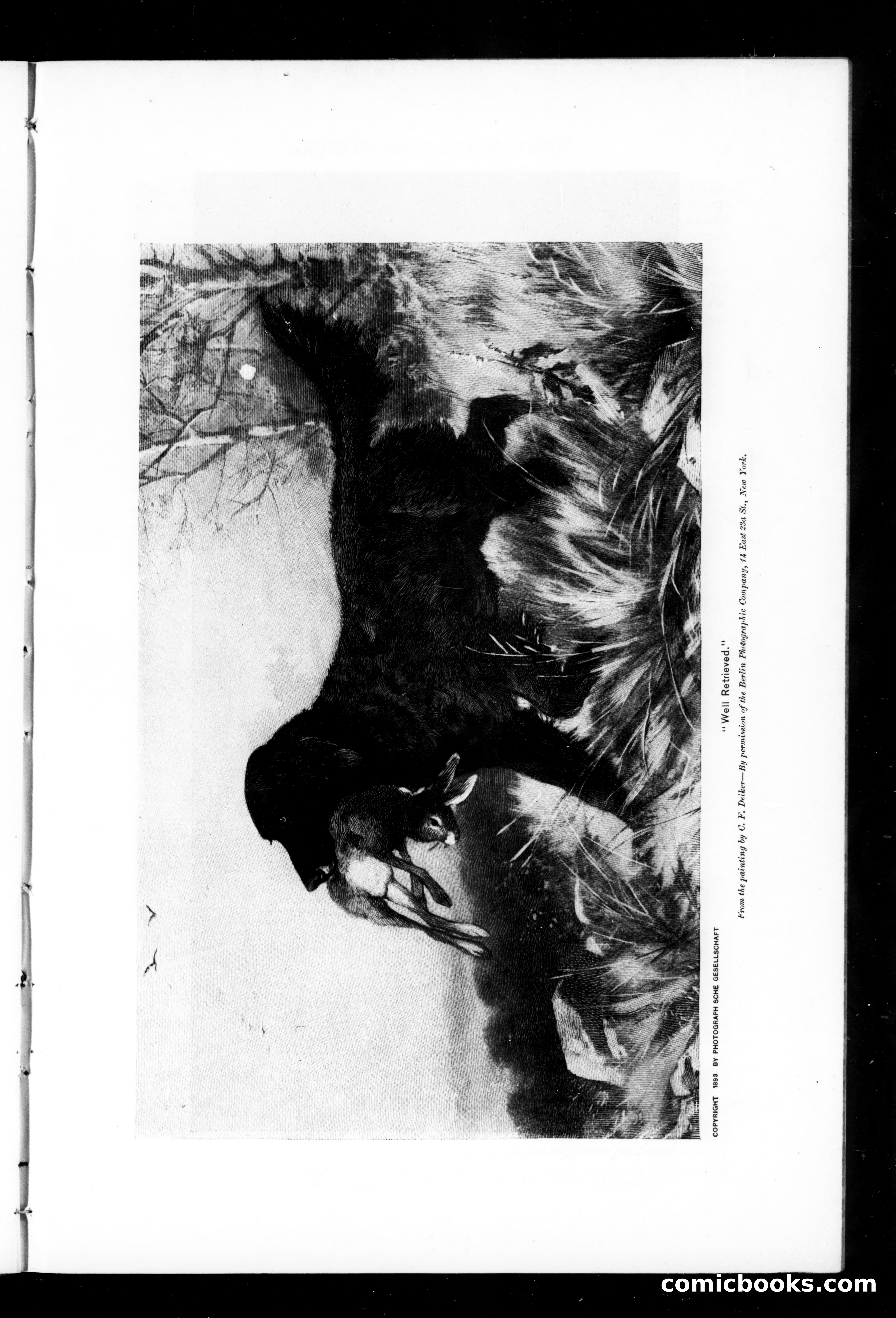 Munsey's Magazine, October 1895 — page 3 of 128