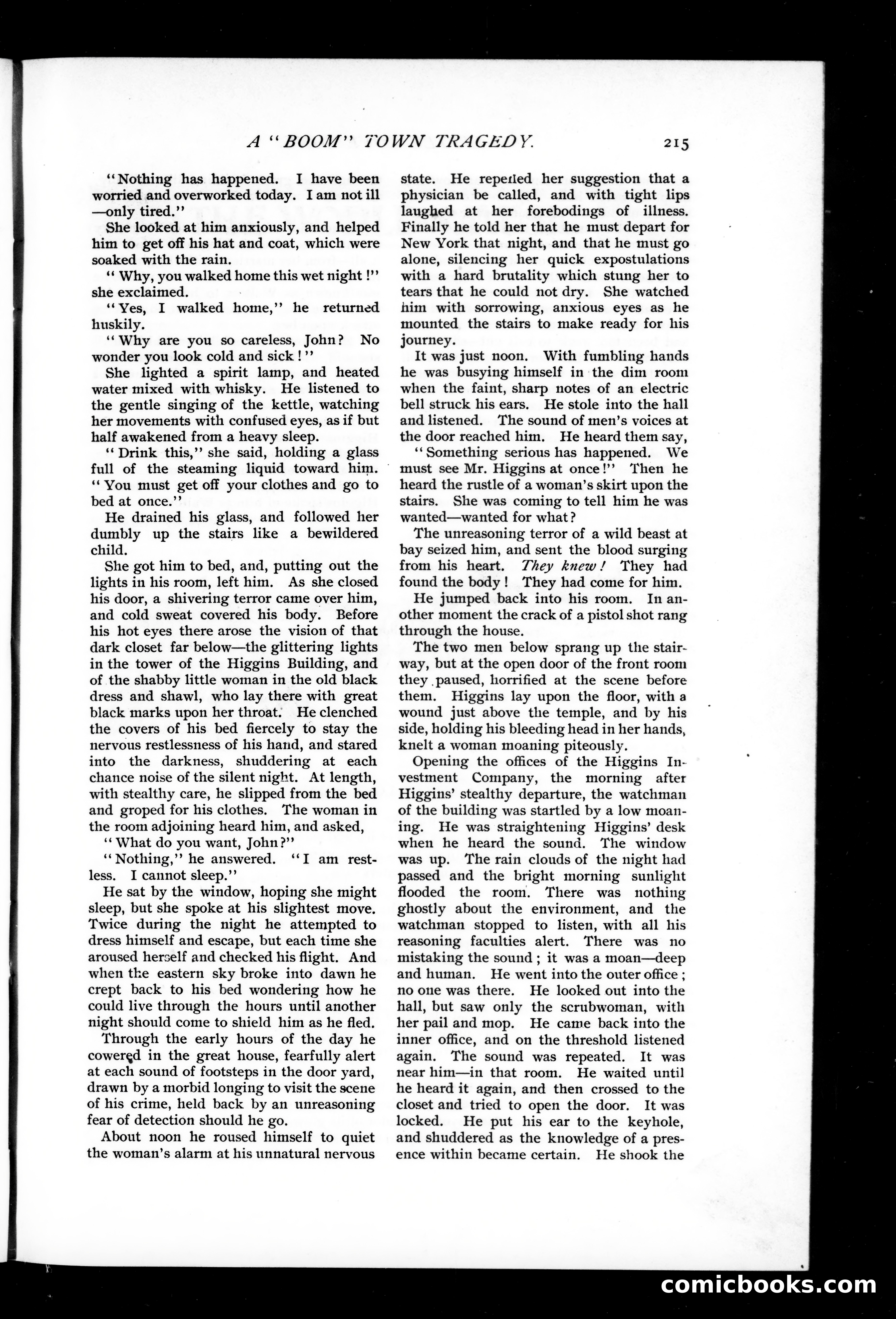 Munsey's Magazine, November 1895 — page 87 of 134