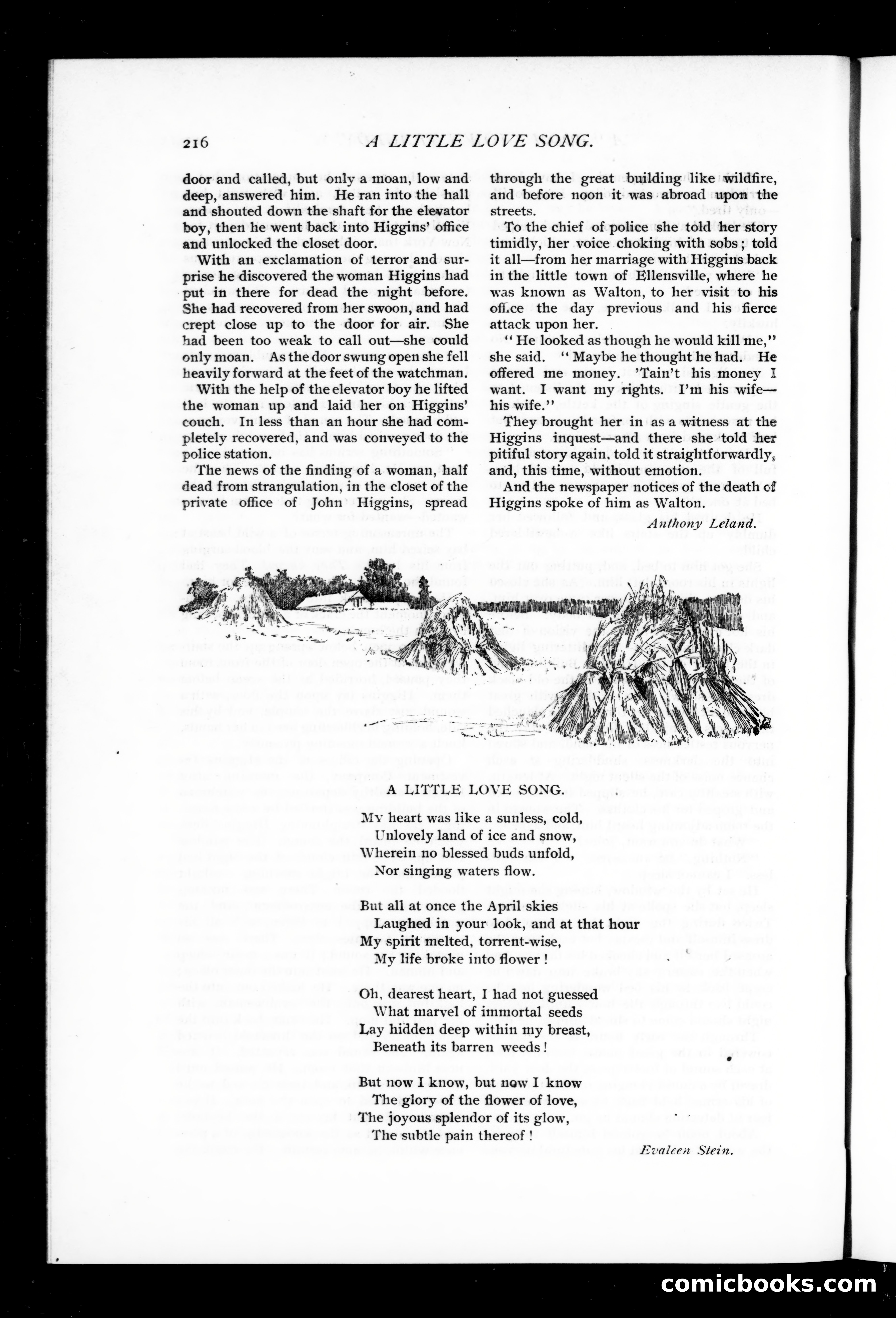 Munsey's Magazine, November 1895 — page 88 of 134