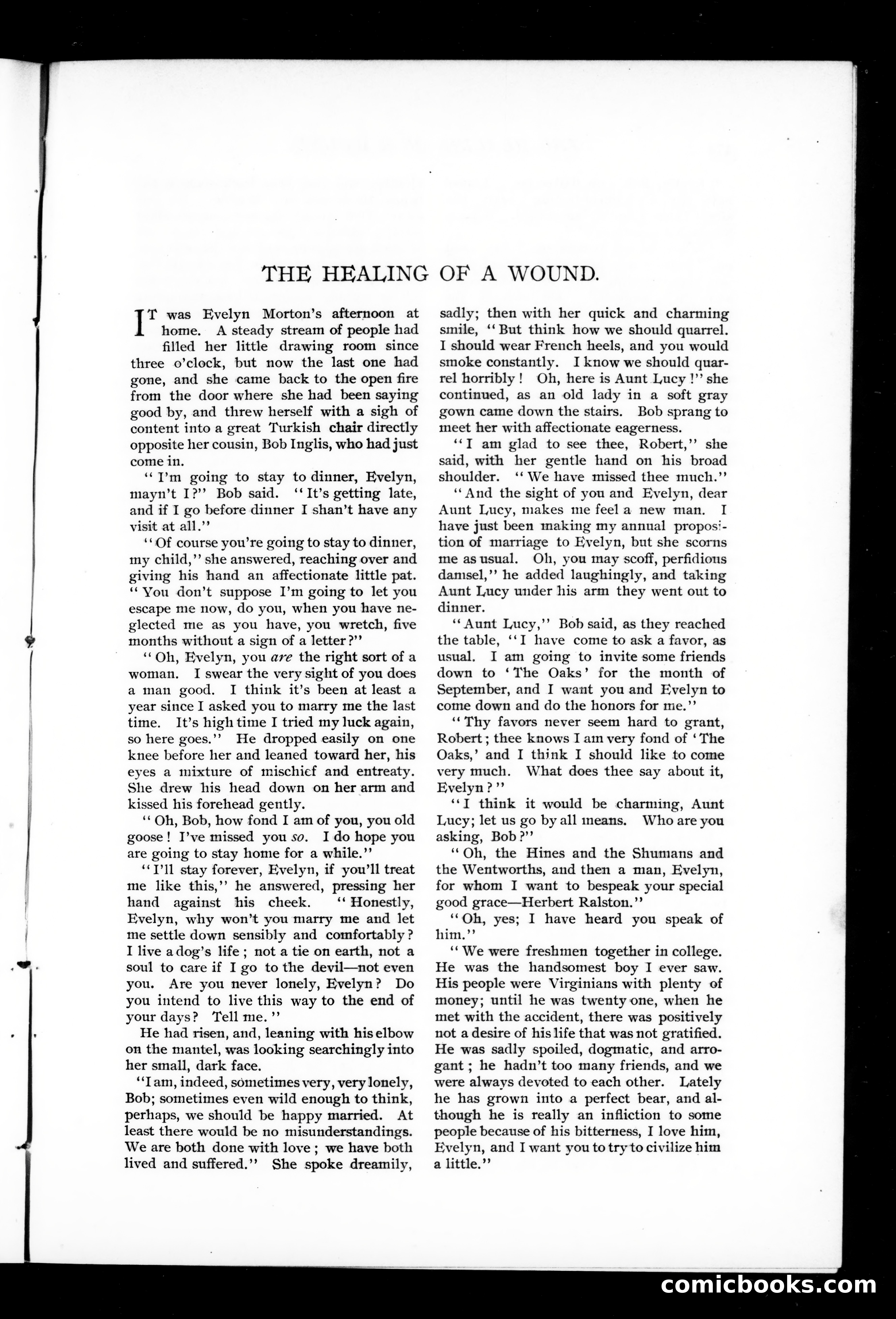 Munsey's Magazine, January 1896 — page 89 of 128