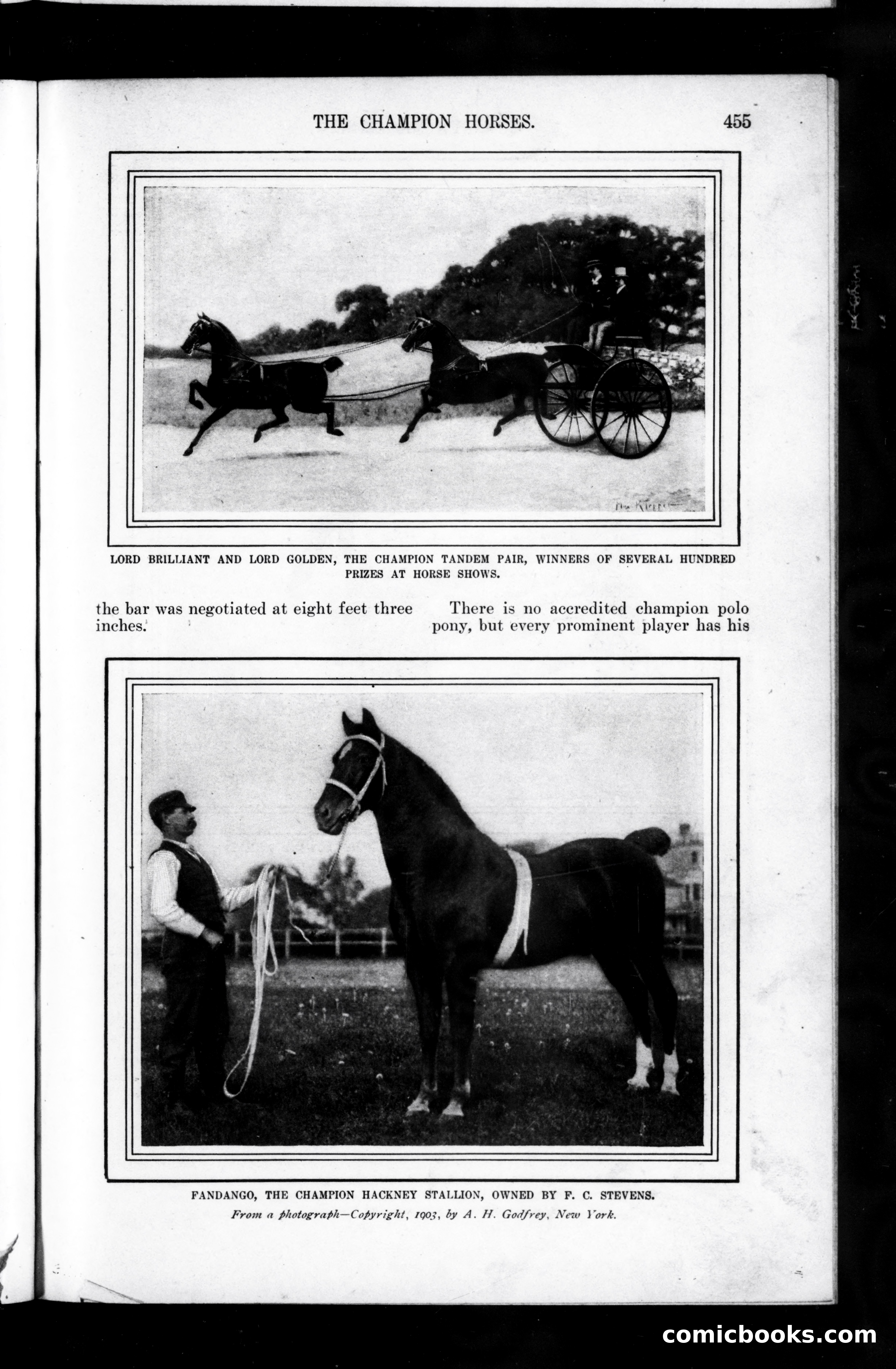 Munsey's Magazine, June 1903 — page 137 of 162
