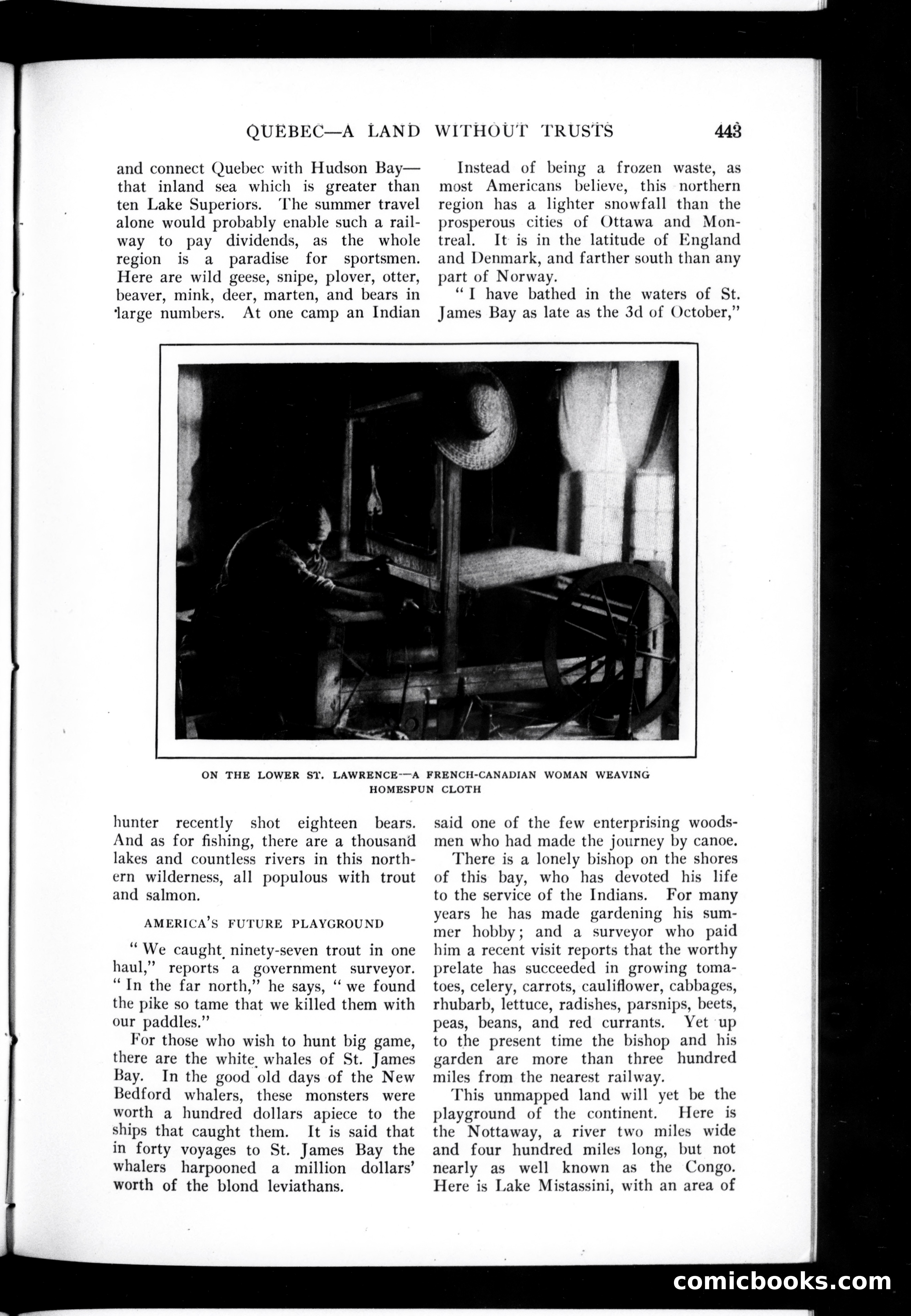 Munsey's Magazine, July 1907 — page 31 of 140