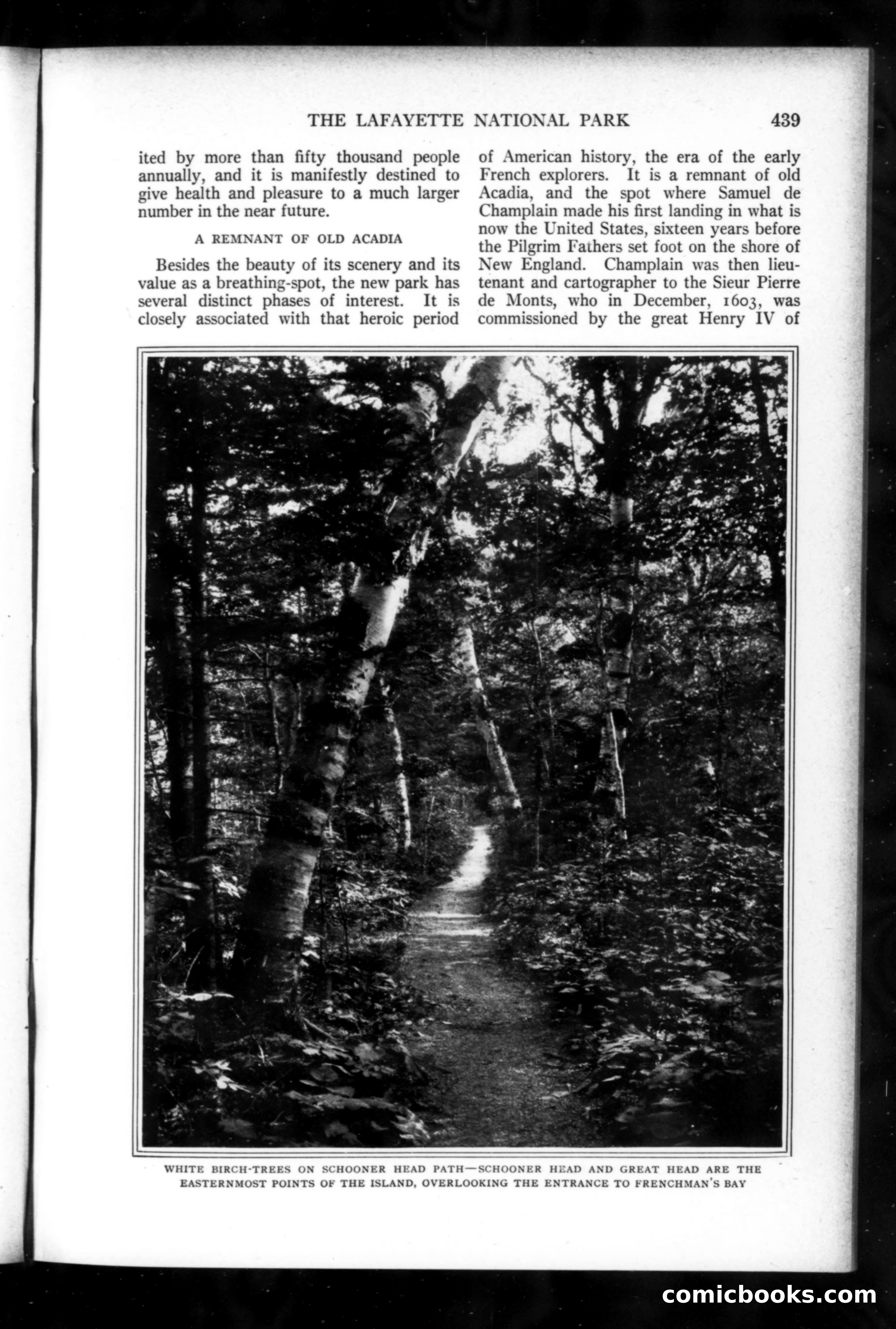 Munsey's Magazine, August 1919 — page 55 of 192