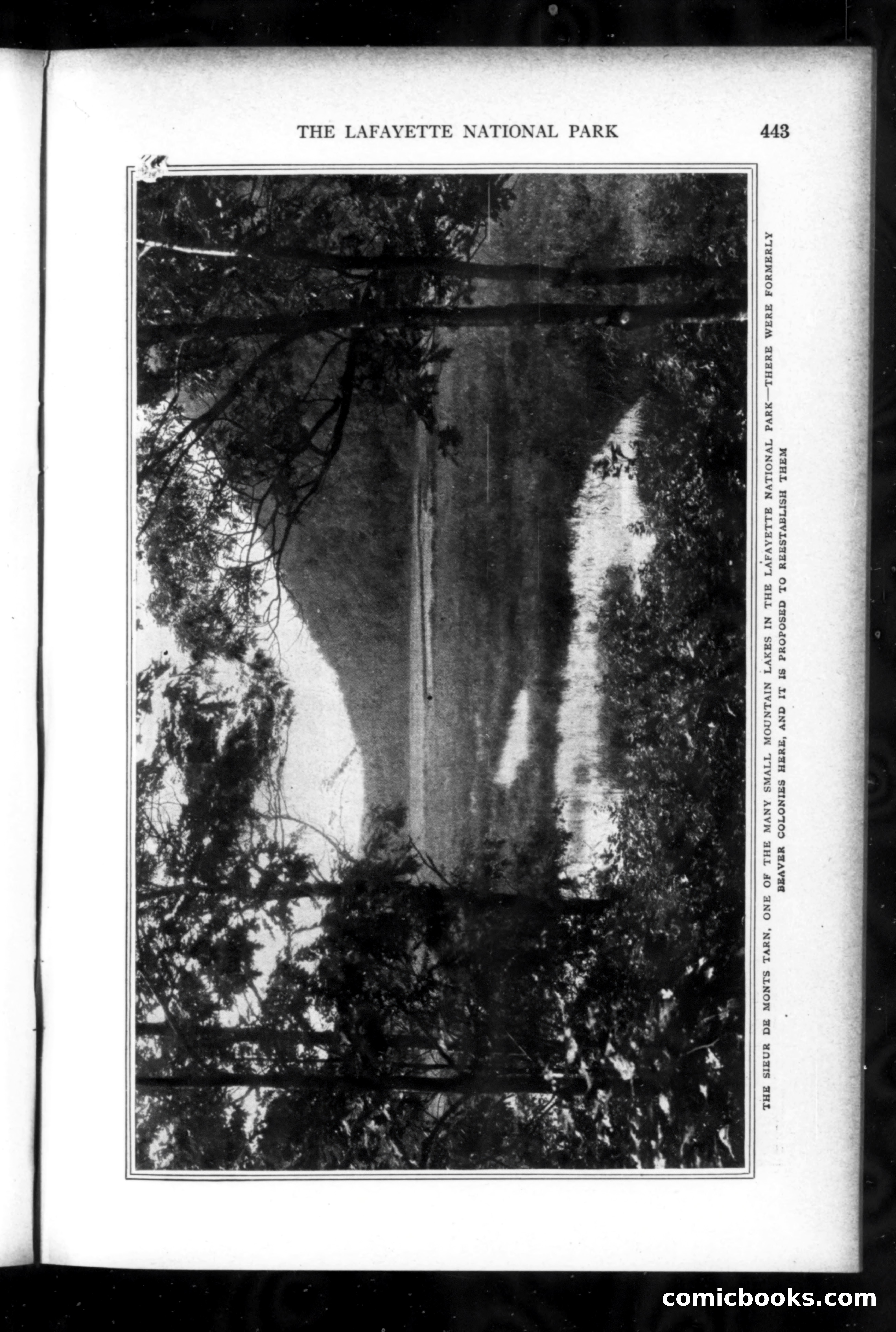 Munsey's Magazine, August 1919 — page 59 of 192