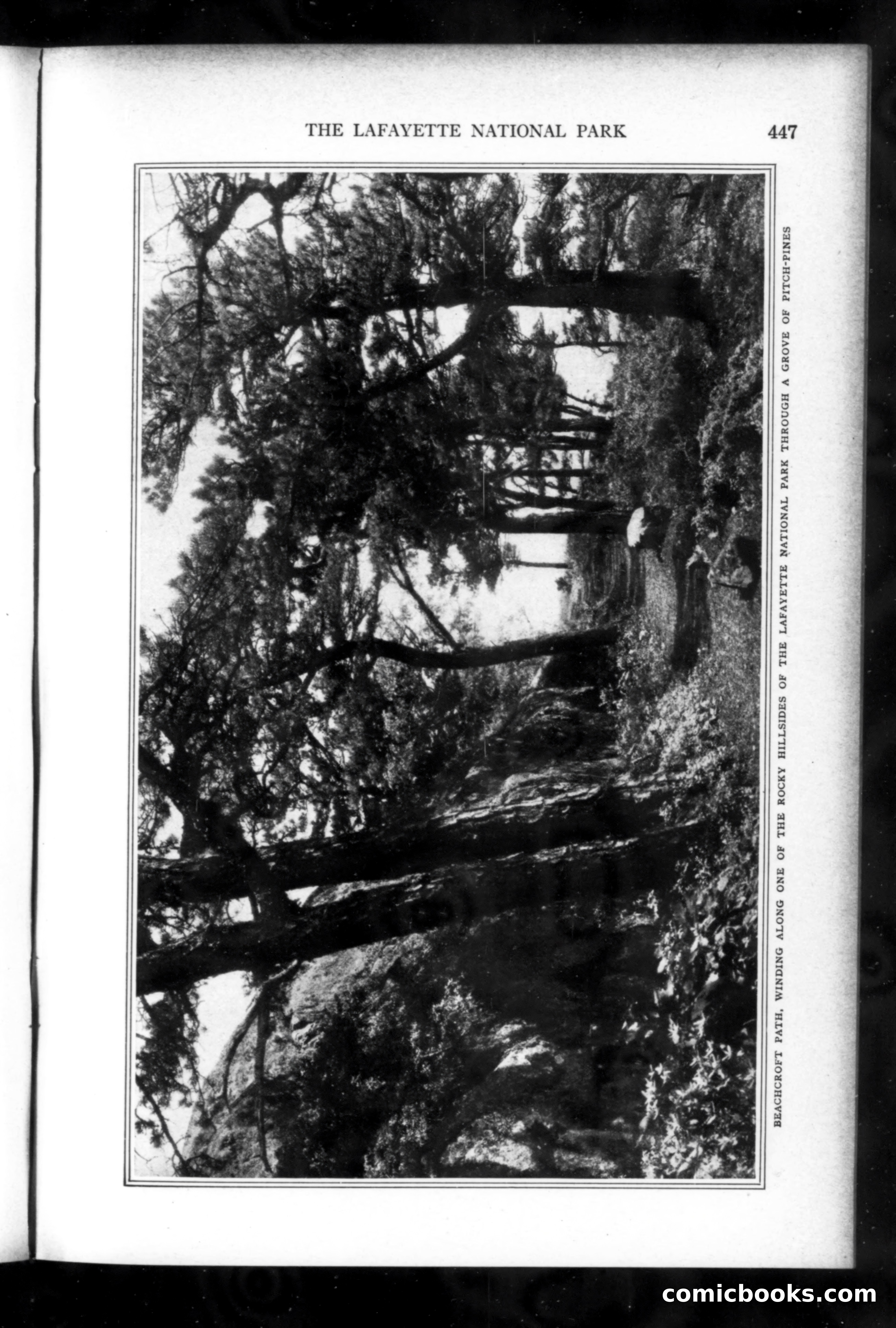 Munsey's Magazine, August 1919 — page 63 of 192
