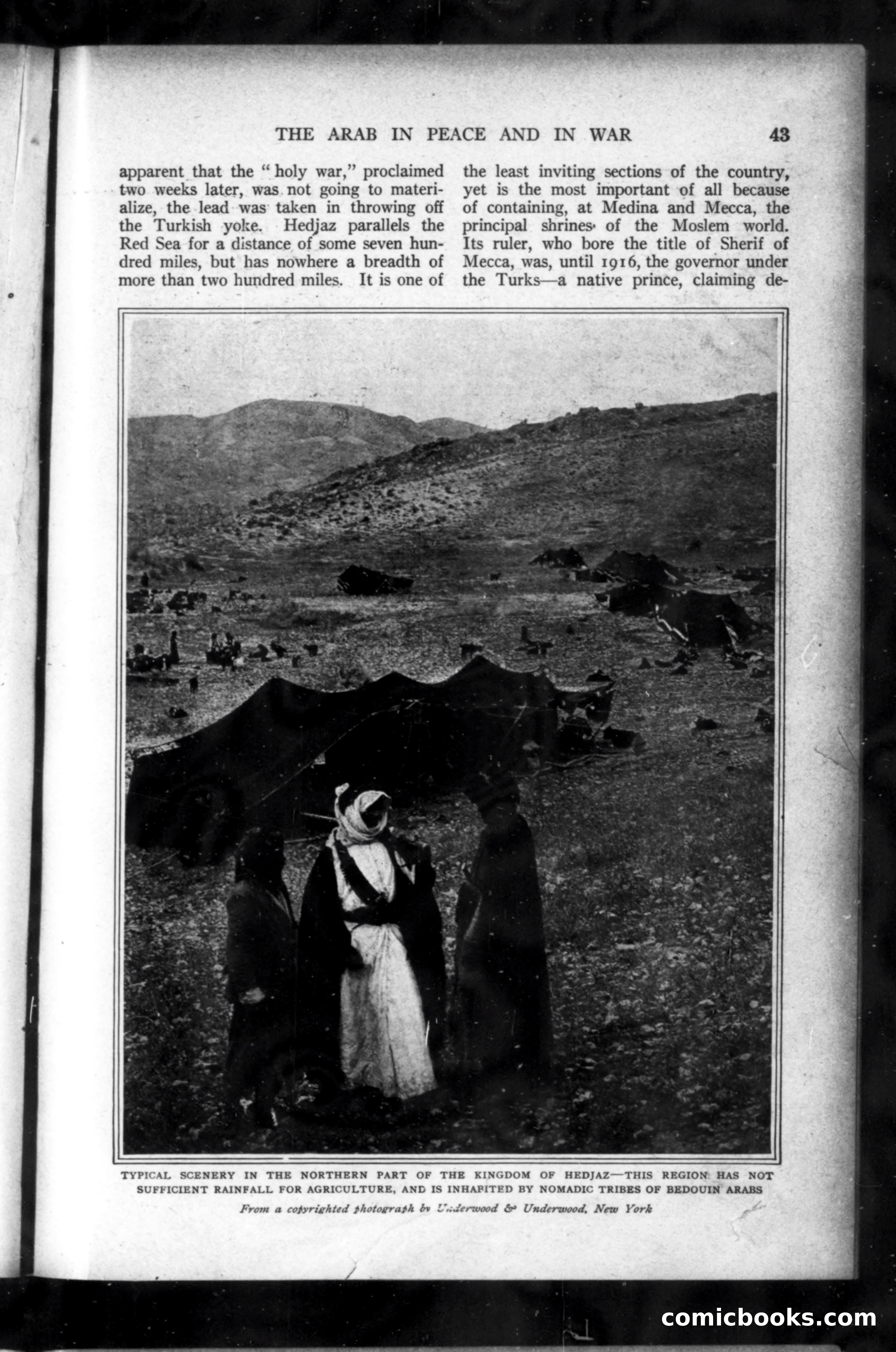Munsey's Magazine, October 1919 — page 43 of 192