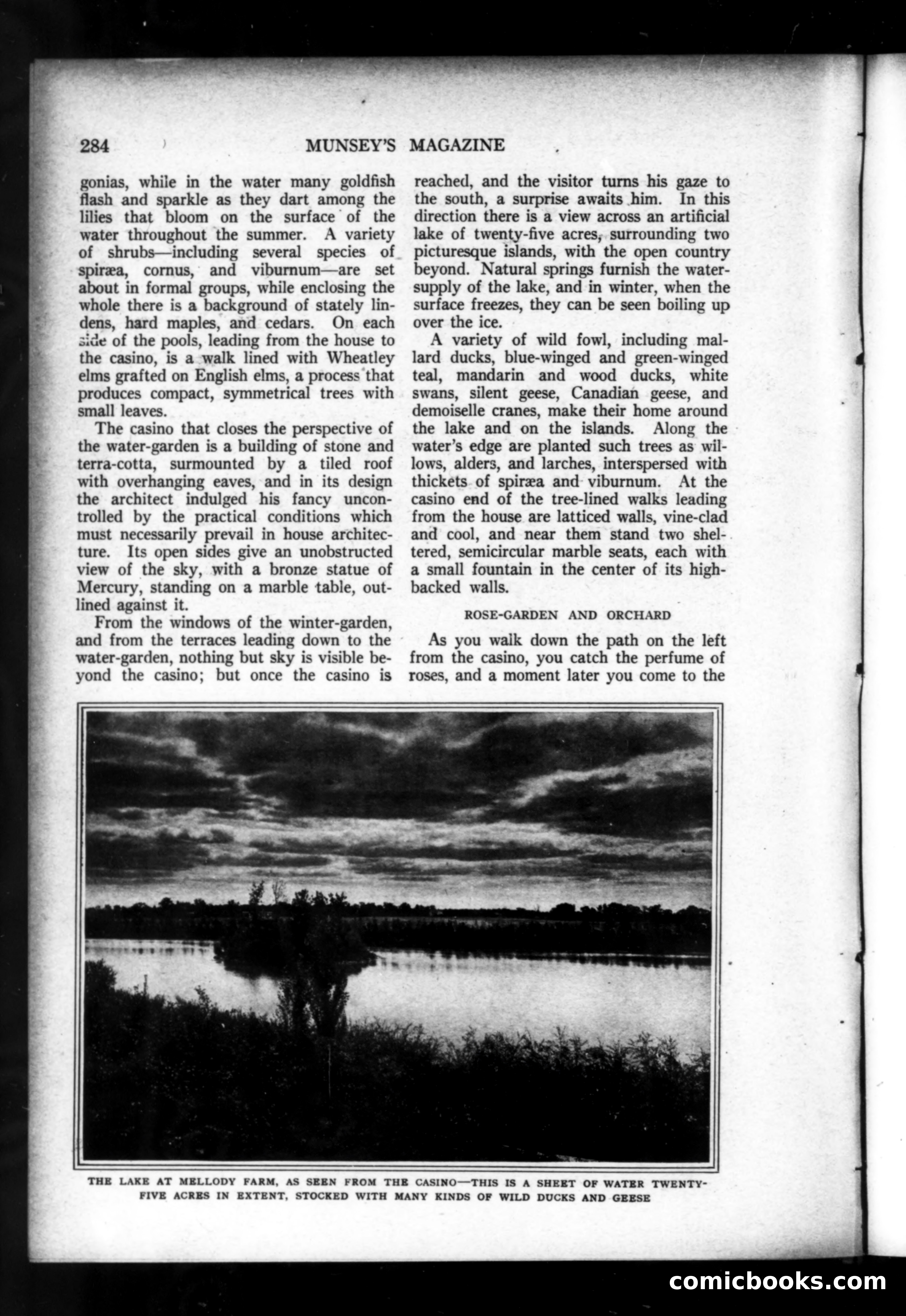 Munsey's Magazine, November 1919 — page 92 of 192