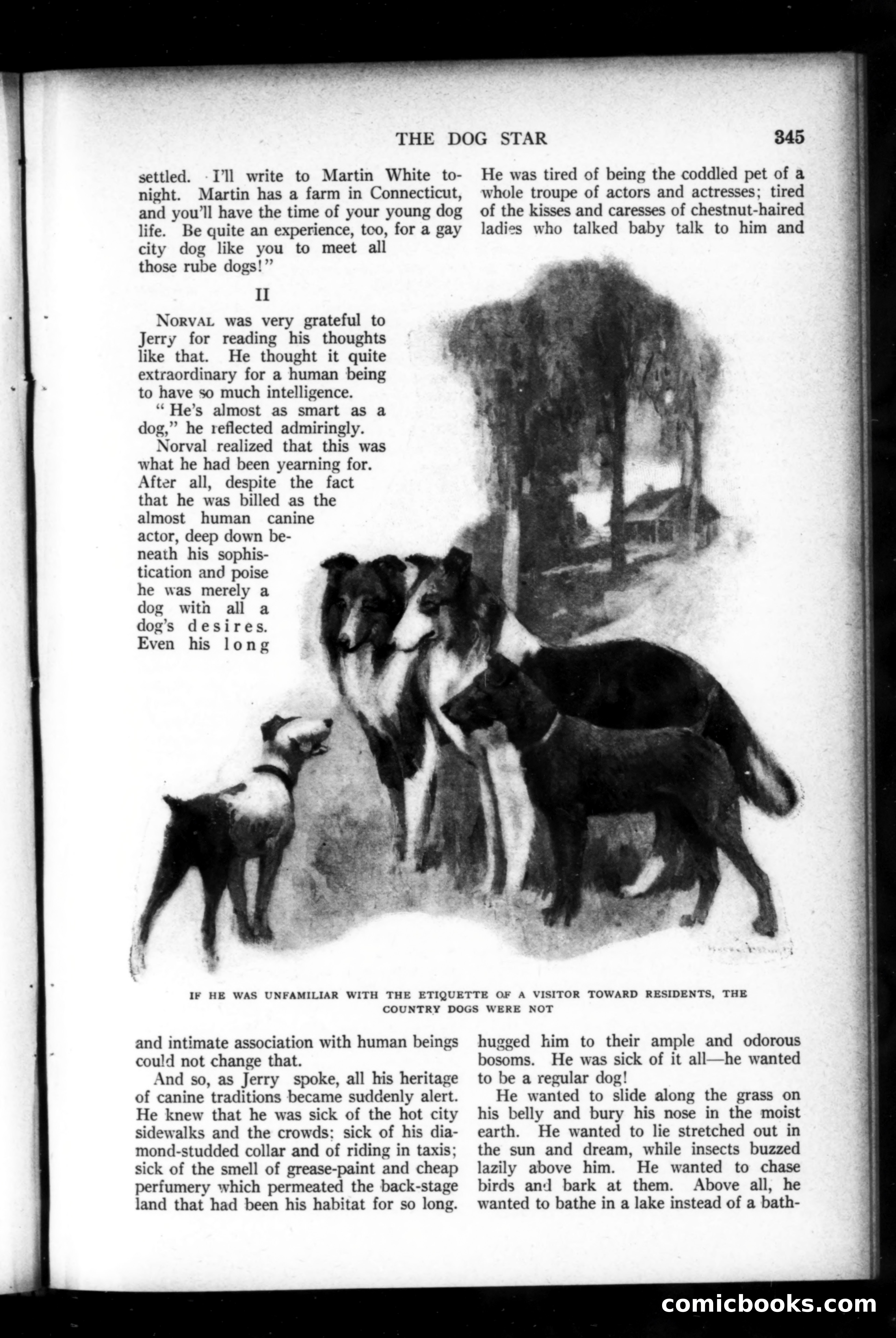 Munsey's Magazine, March 1920 — page 153 of 192