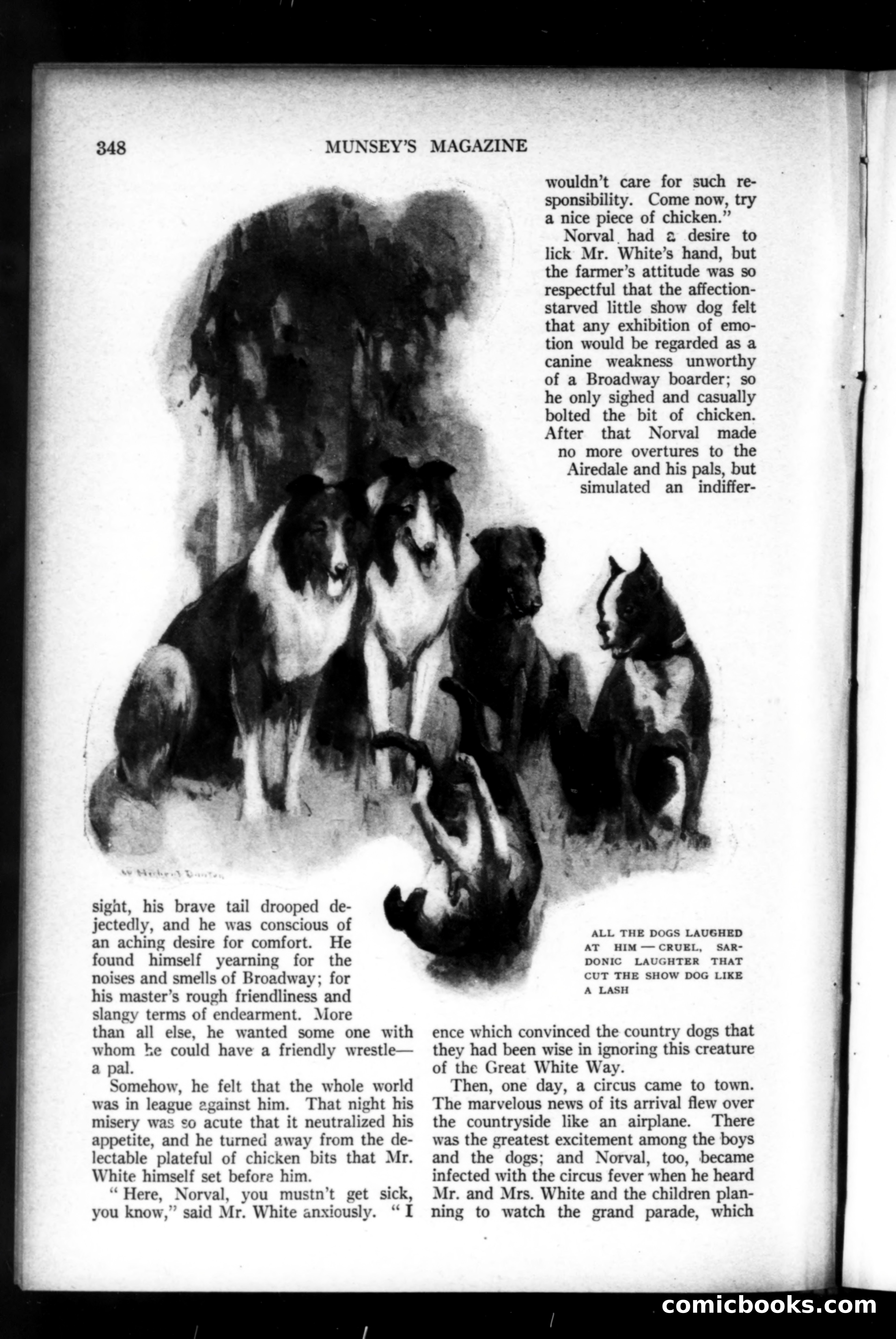 Munsey's Magazine, March 1920 — page 156 of 192