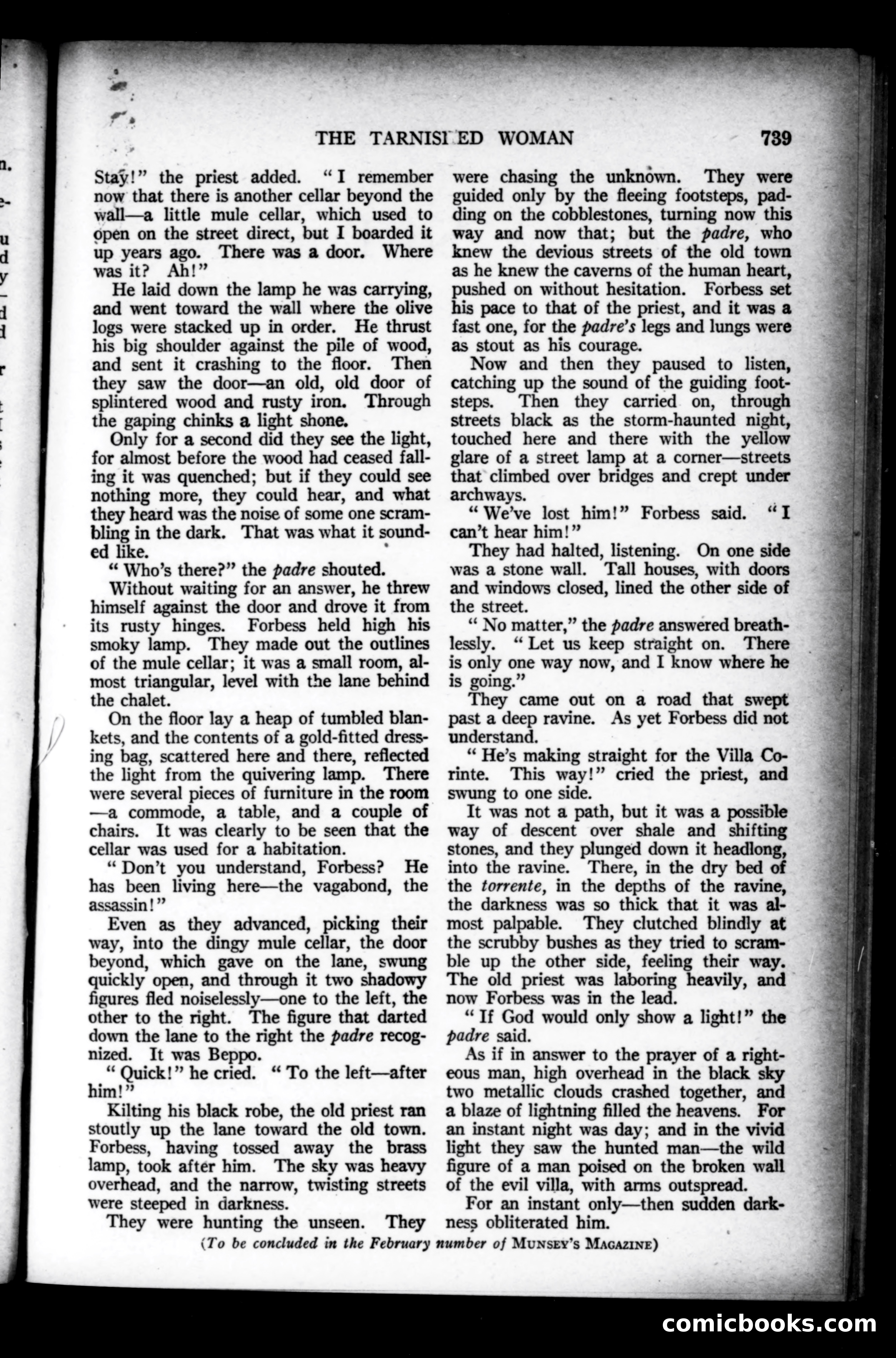 Munsey's Magazine, January 1924 — page 163 of 193