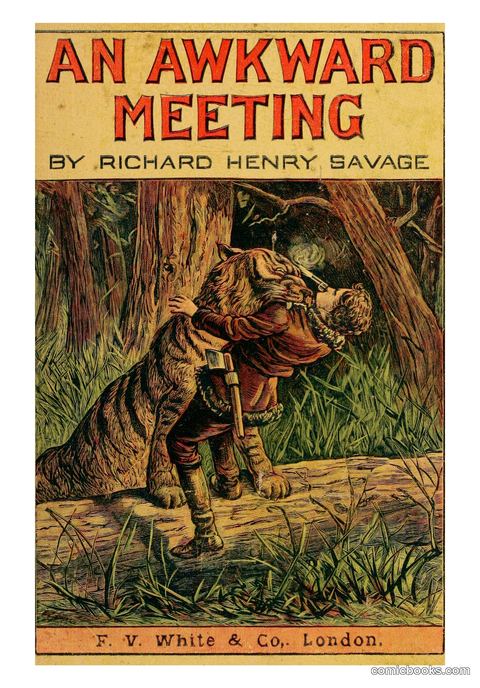 An Awkward Meeting and Other Thrilling Adventures