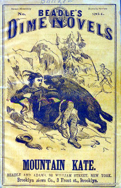 Beadle's Dime Novels No. 264: Mountain Kate