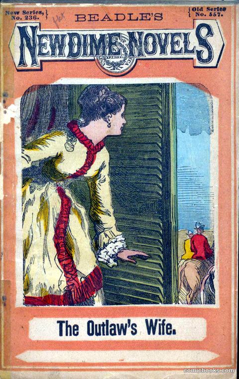 The Outlaw's Wife