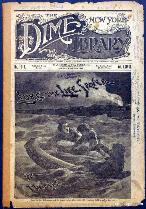 The New York Dime Library No. 1011