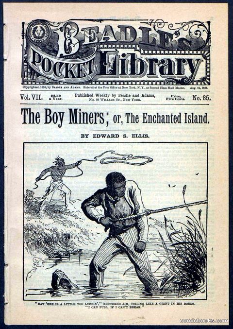 The Boy Miners; or, The Enchanted Island