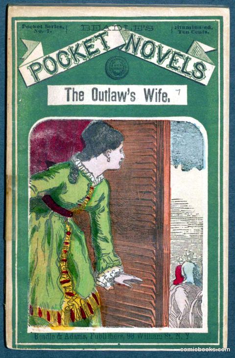 The Outlaw's Wife