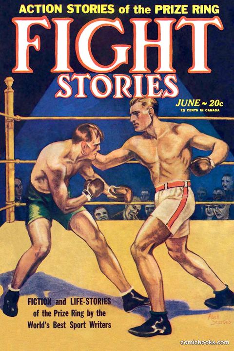 Fight Stories