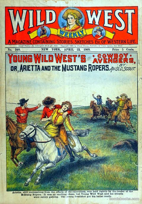 Young Wild West's Cowboy Avengers