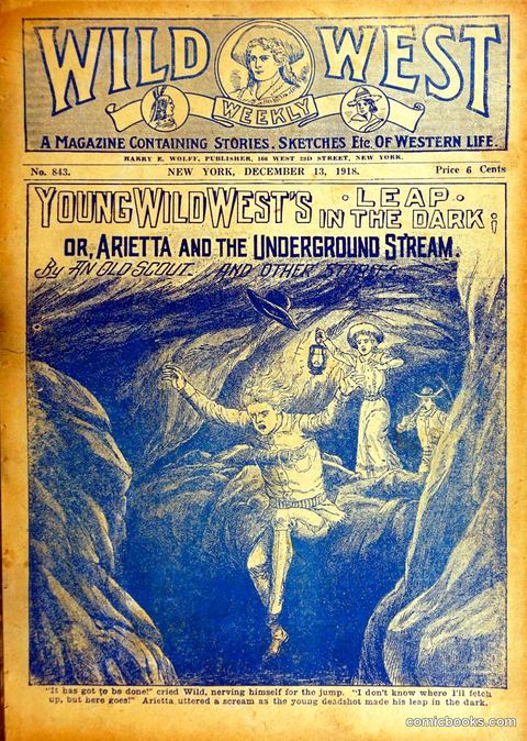 Young Wild West's Leap in the Dark