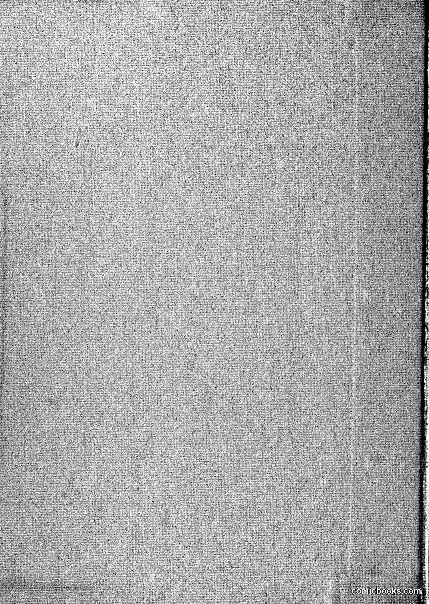 The Wasp — 1896 — page 3: The Wasp, 1896