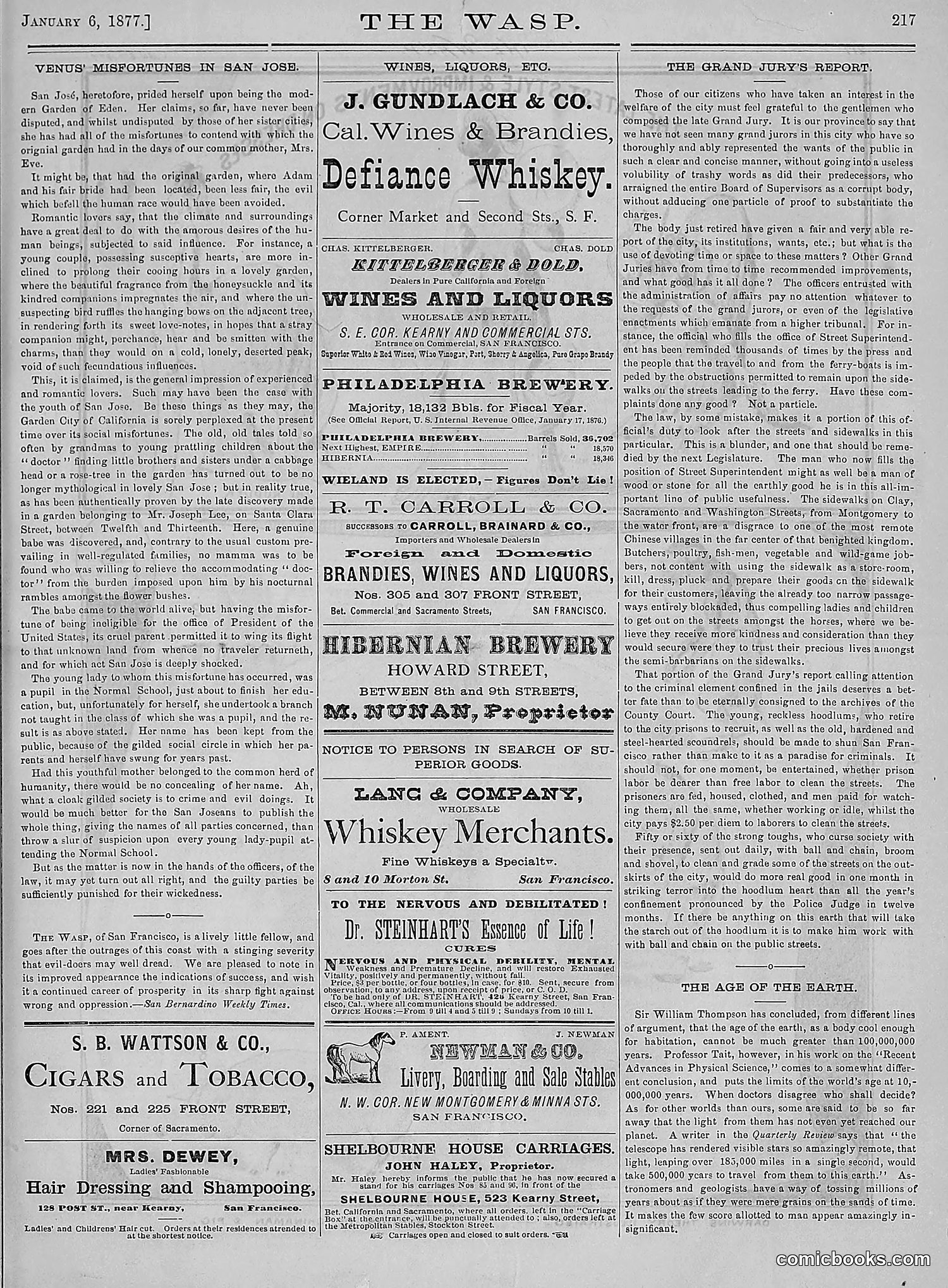 The Wasp — 1877 — page 12: The Wasp, 1877