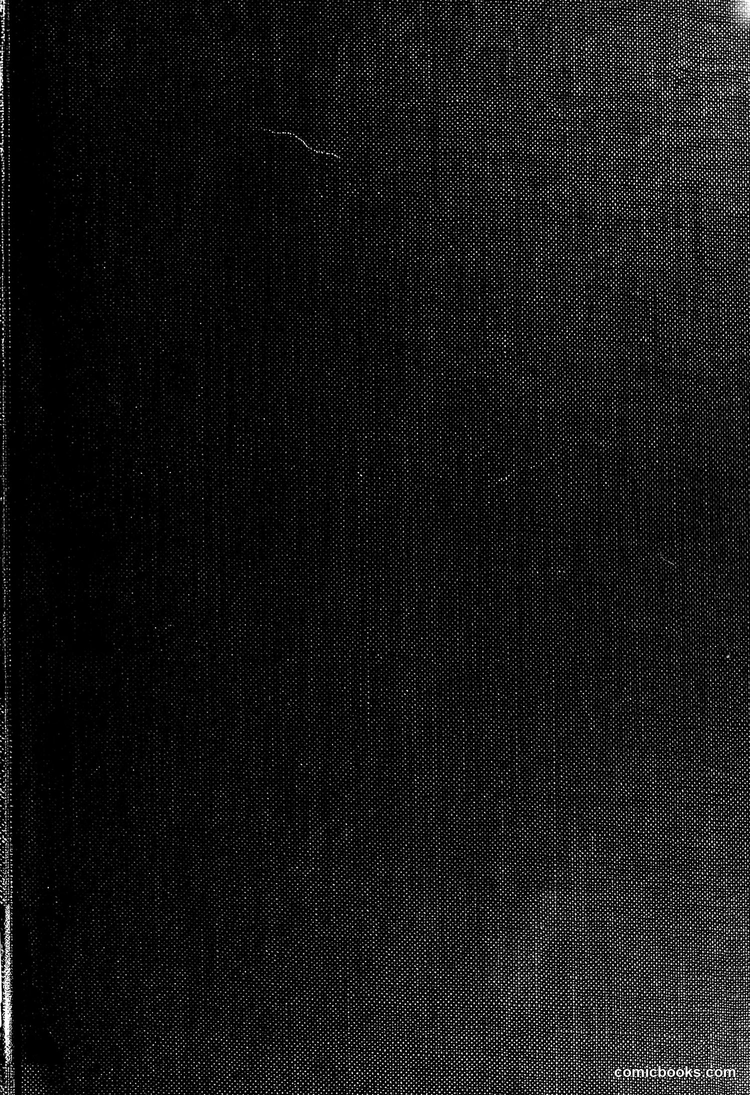 The Wasp — 1878 — page 2: The Wasp, 1878