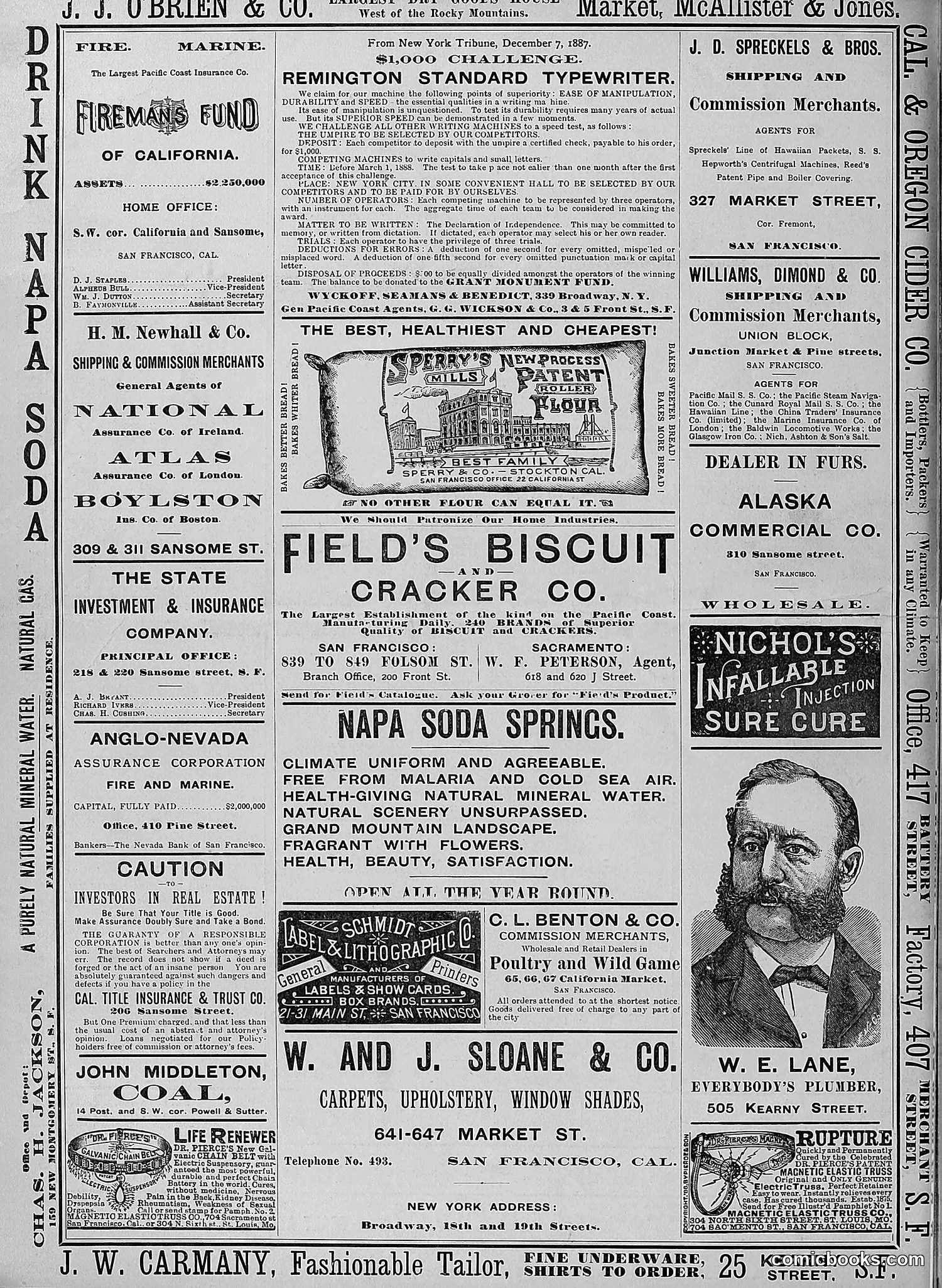The Wasp — 1888 — page 387 of 526
