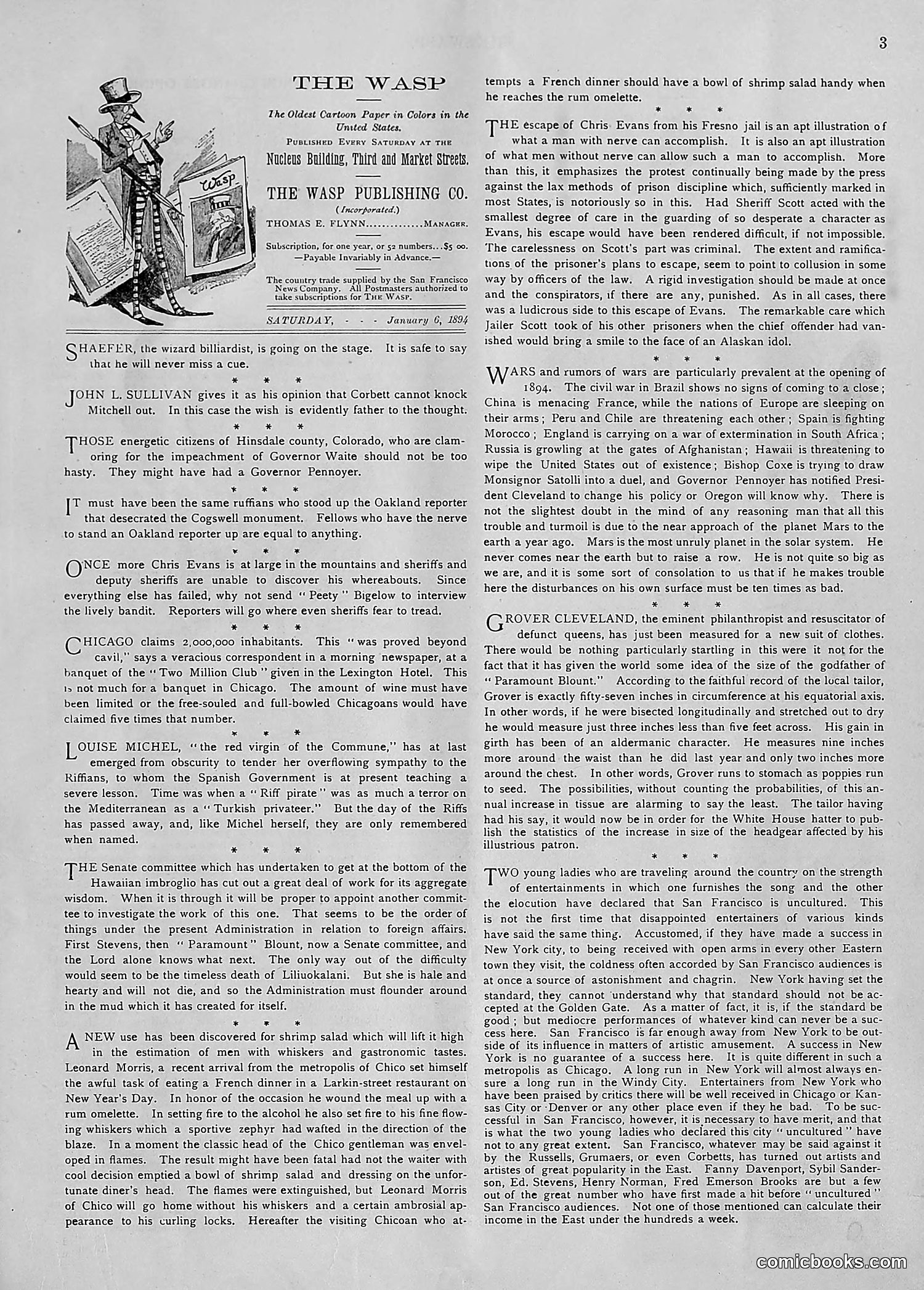The Wasp — 1894 — page 10: The Wasp, 1894