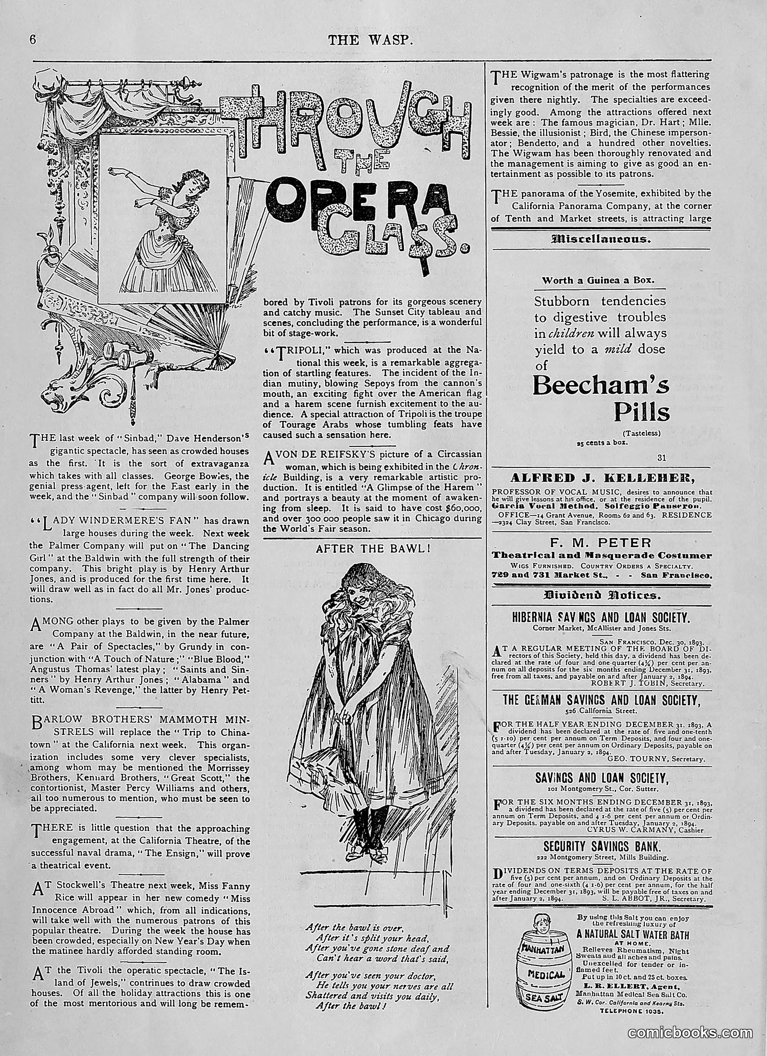 The Wasp — 1894 — page 13: The Wasp, 1894