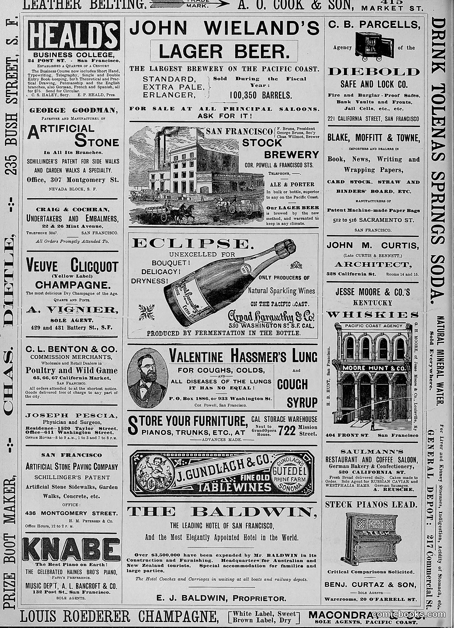The Wasp — 1888 — page 309 of 552