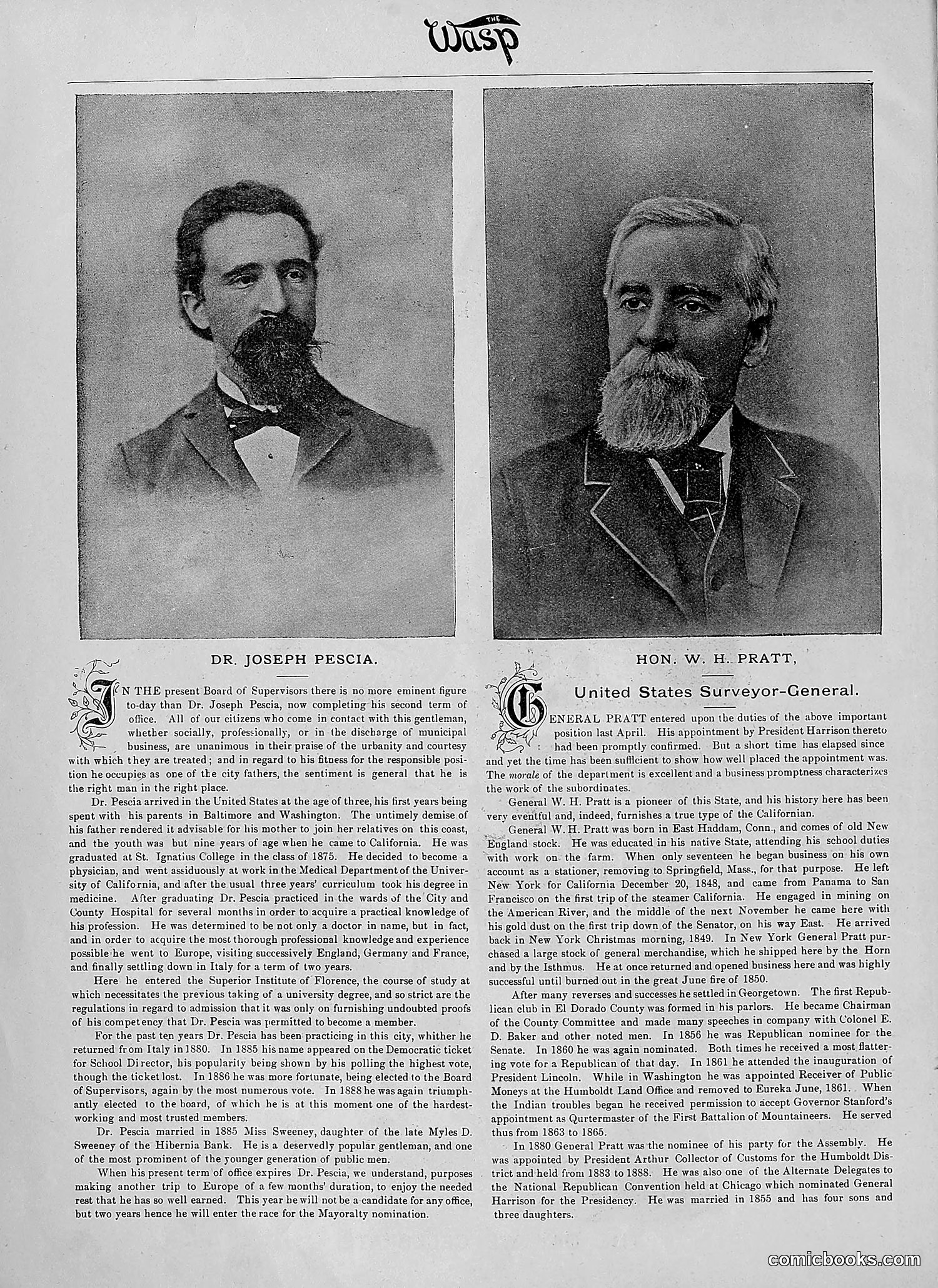 The Wasp — 1890 — page 9: The Wasp, 1890