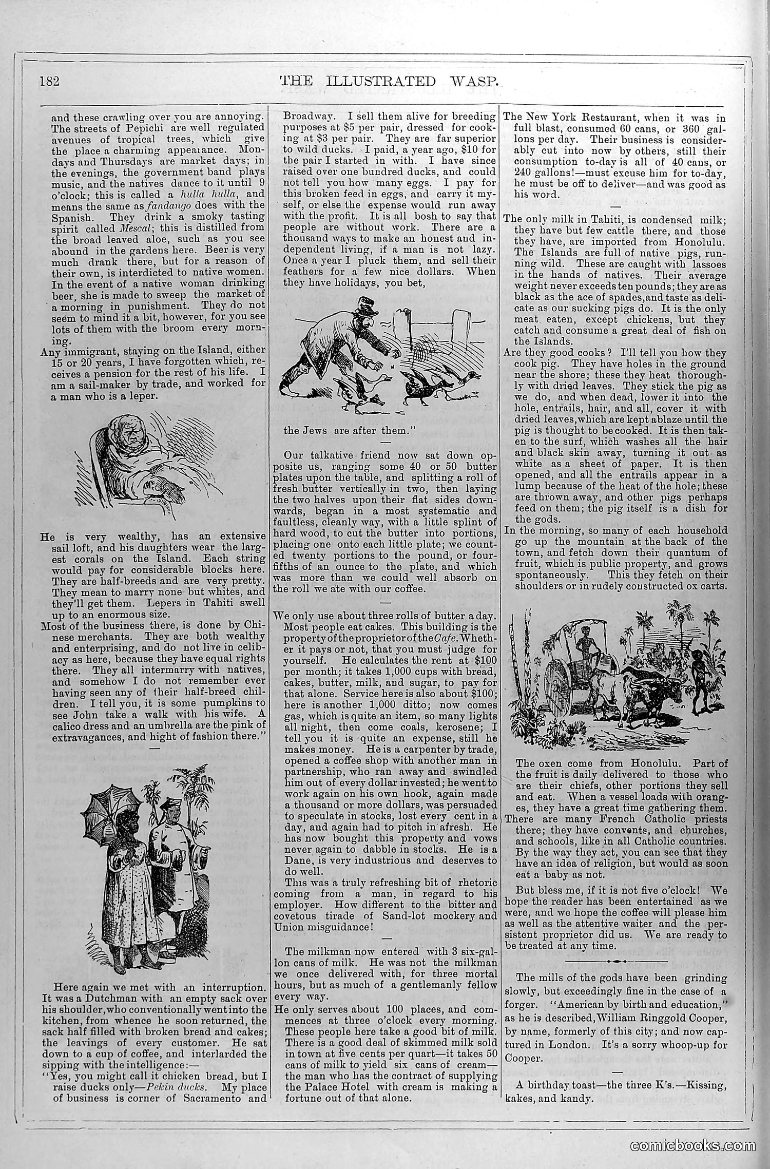 The Wasp — October 11, 1879 — page 7: The Wasp, 1879-10-11