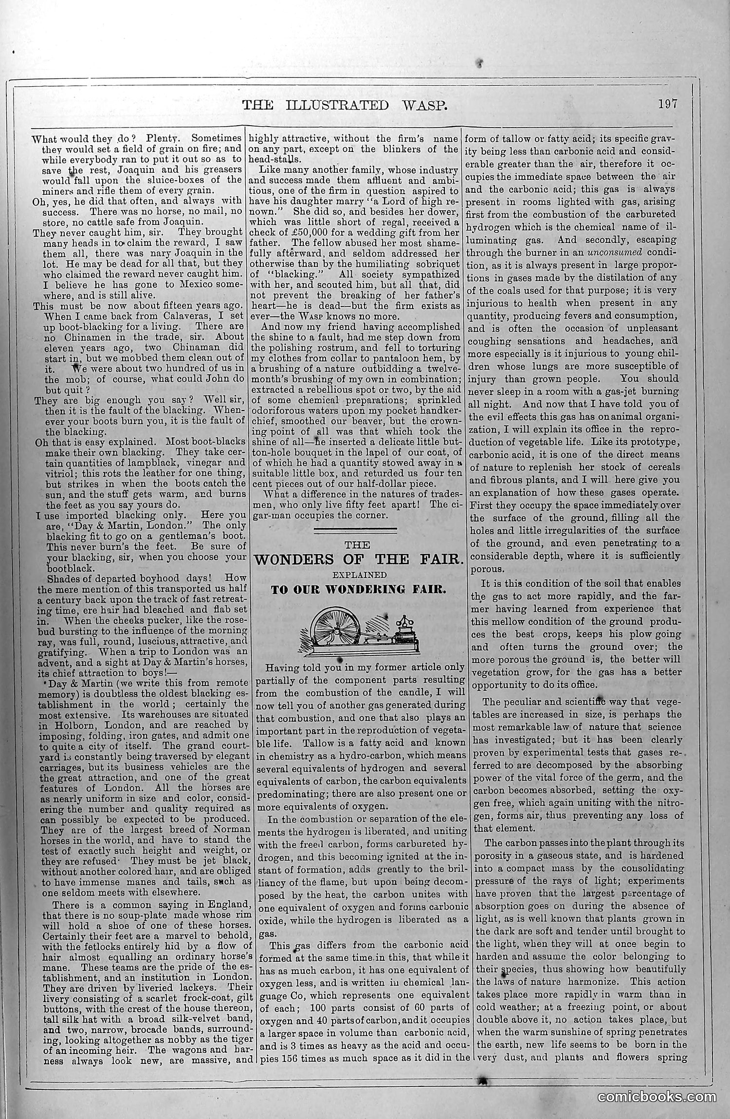 The Wasp — October 18, 1879 — page 6: The Wasp, 1879-10-18