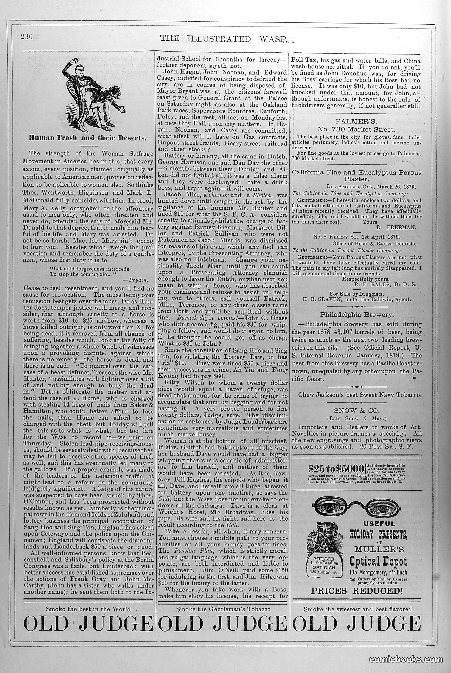 The Wasp — November 1, 1879 — page 13: The Wasp, 1879-11-01