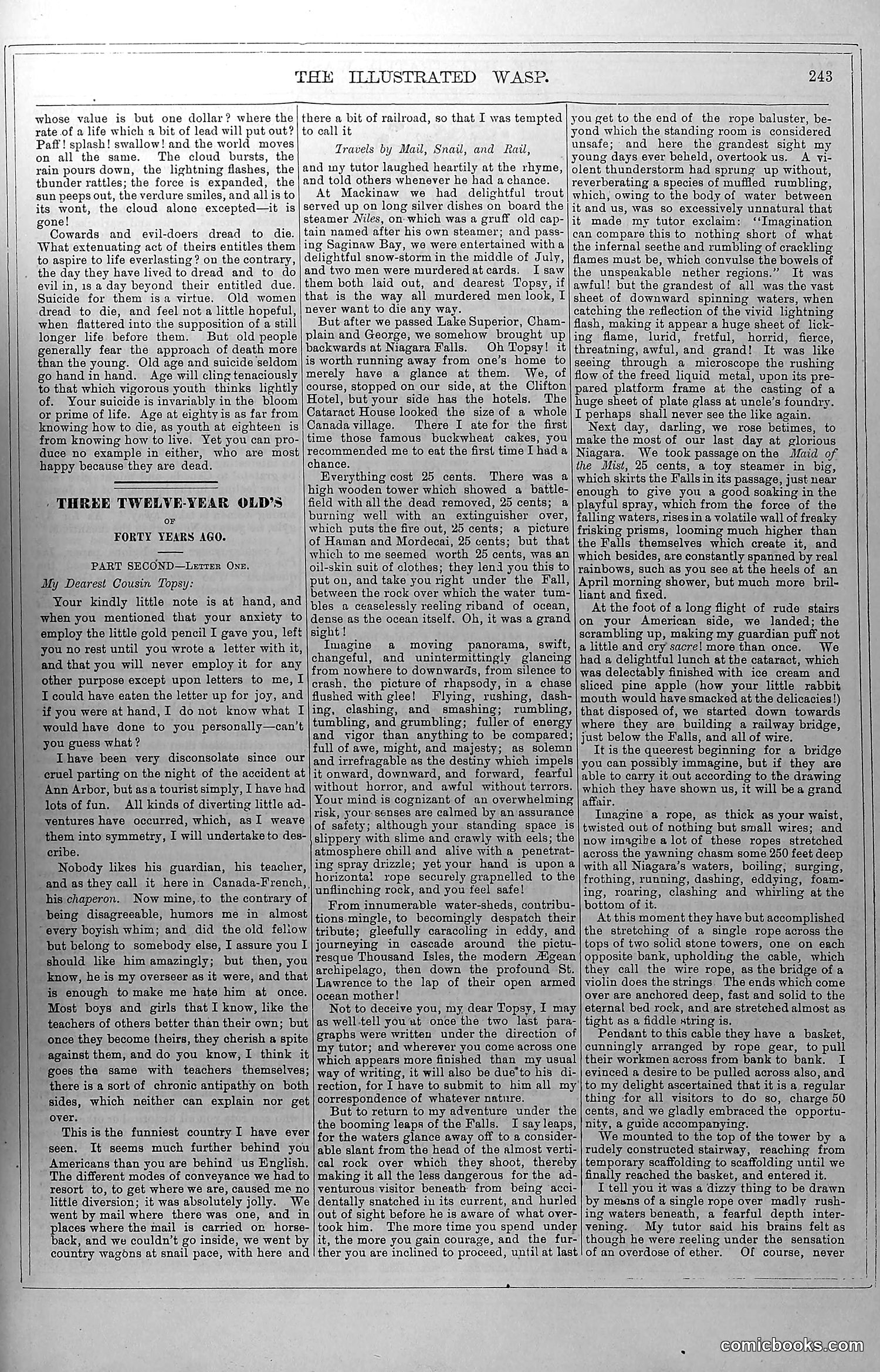 The Wasp — November 8, 1879 — page 4: The Wasp, 1879-11-08